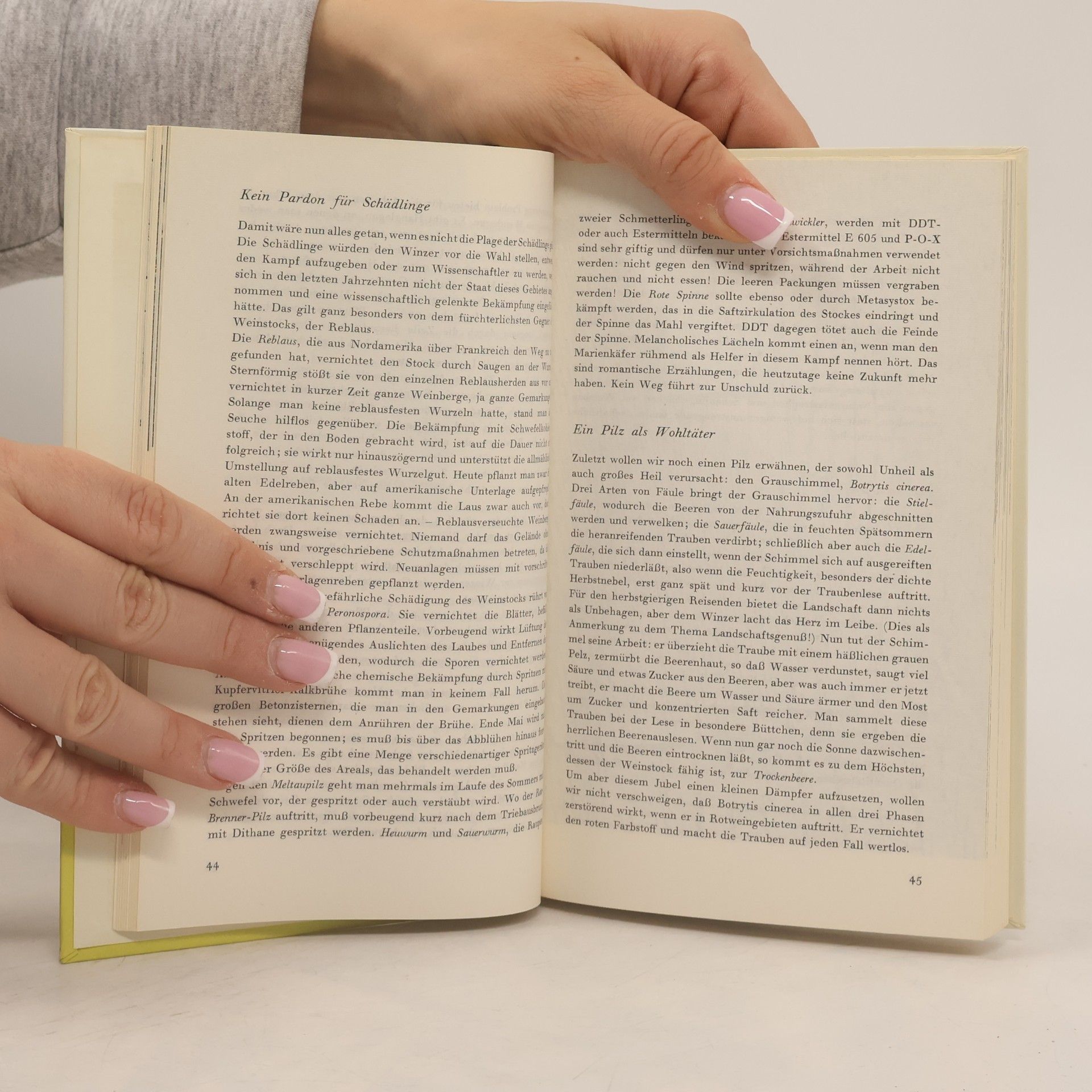 Kramer-Badoni Das kleine Buch vom Wein