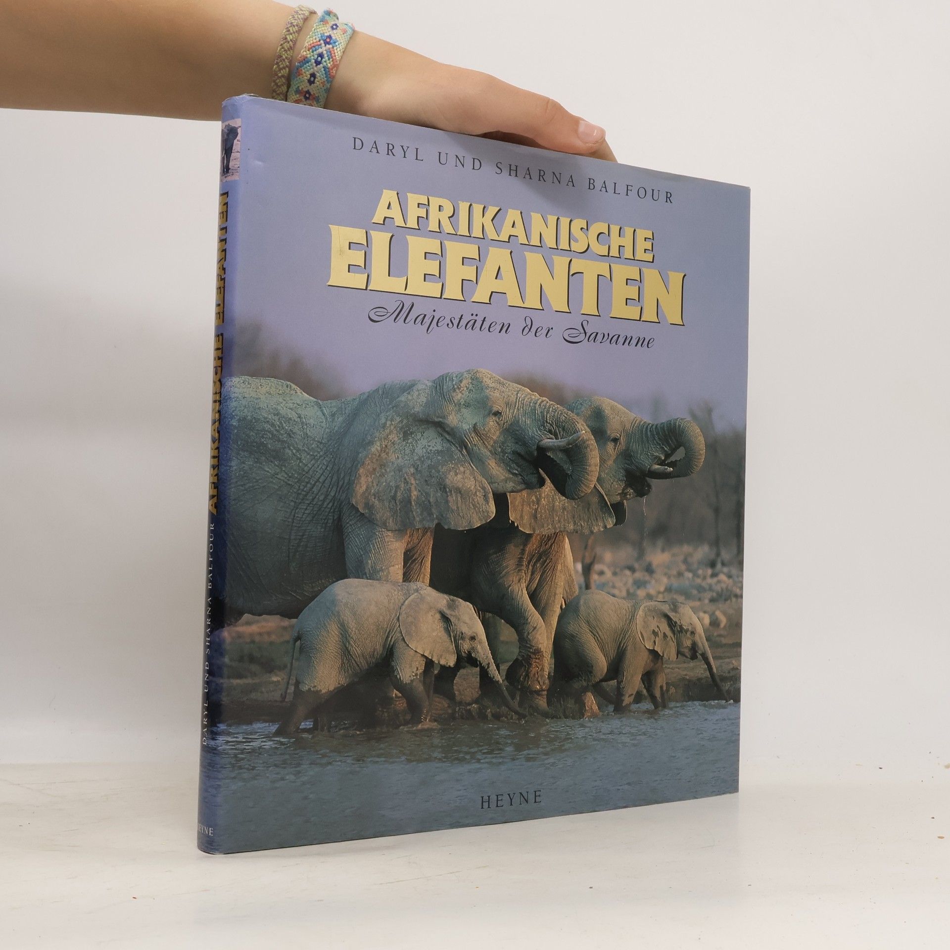 Afrikanische Elefanten