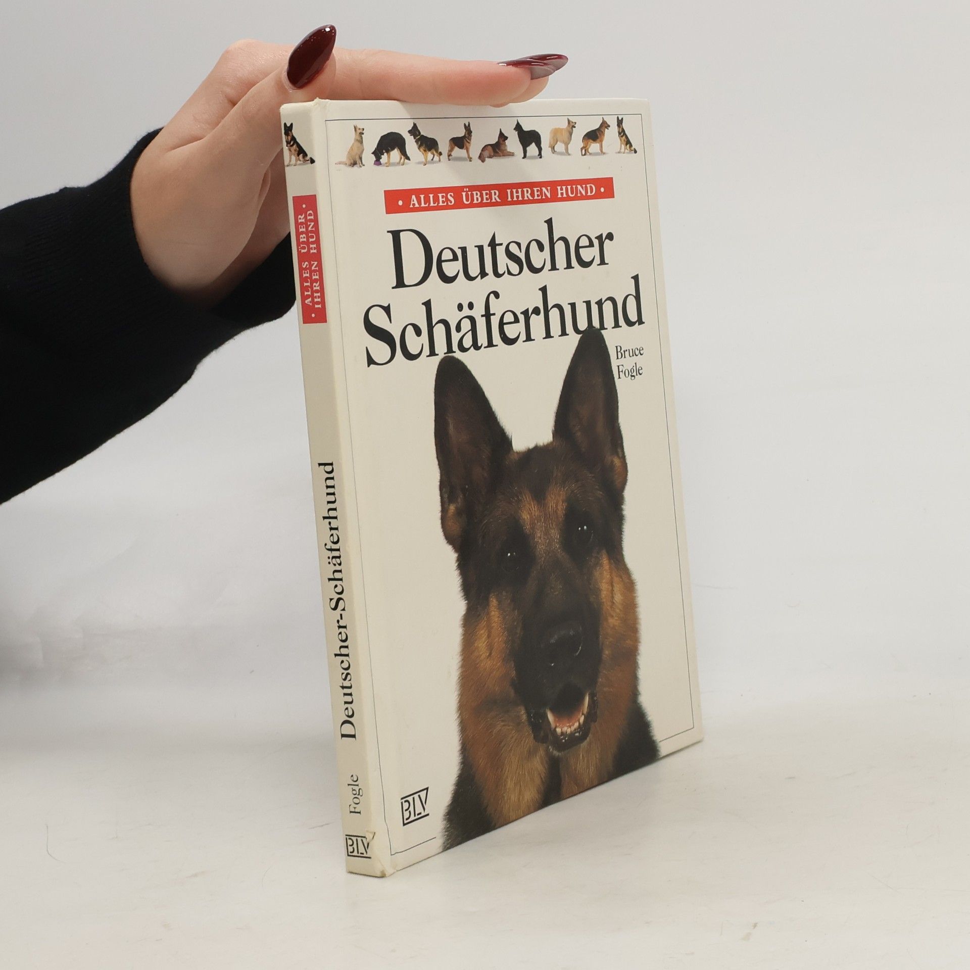 Deutscher Schäferhund