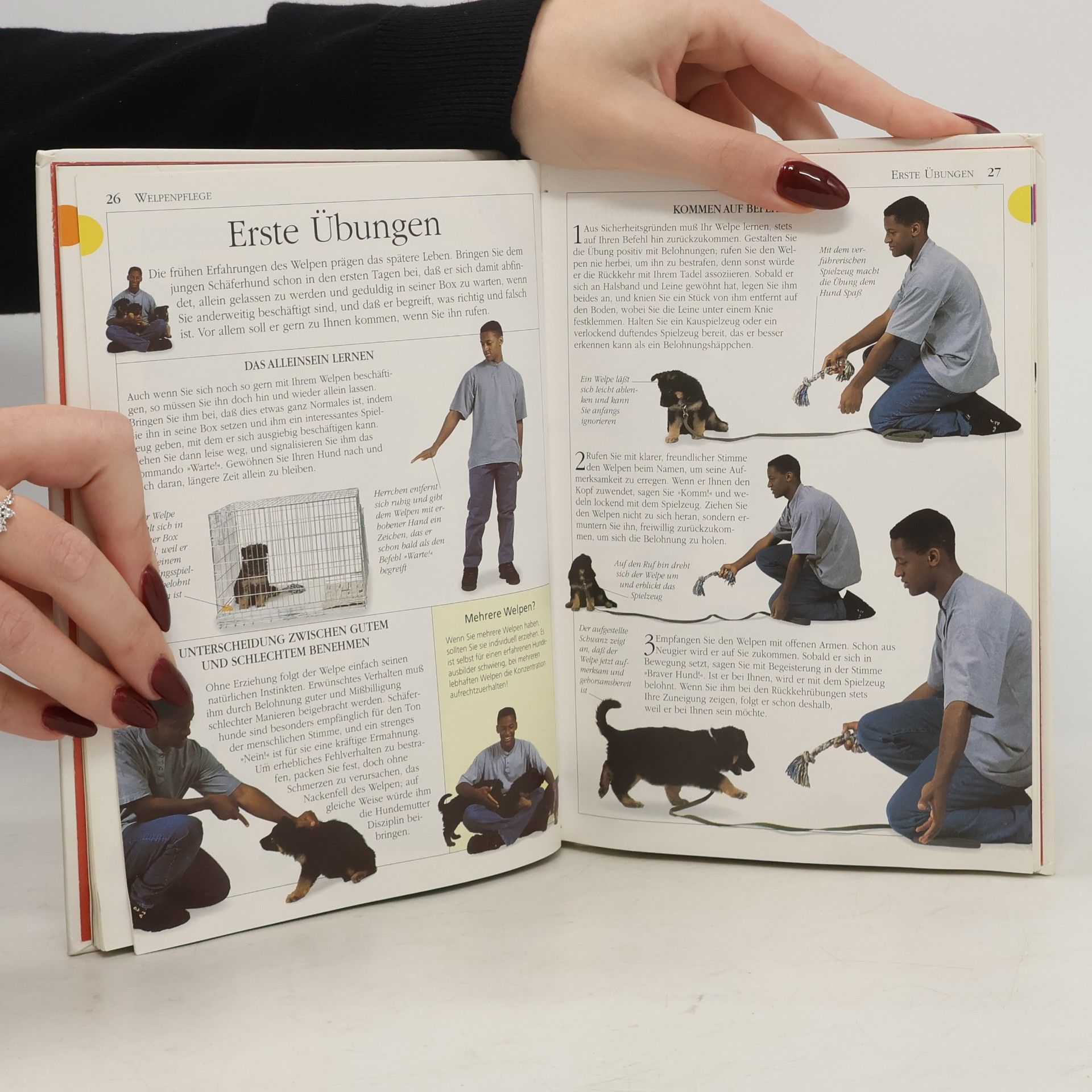 Bruce Fogle Deutscher Schäferhund