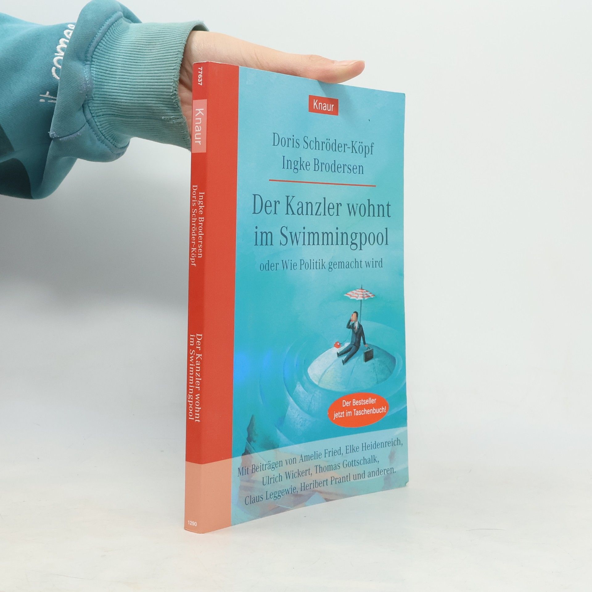 Der Kanzler wohnt im Swimmingpool oder wie Politik gemacht wird