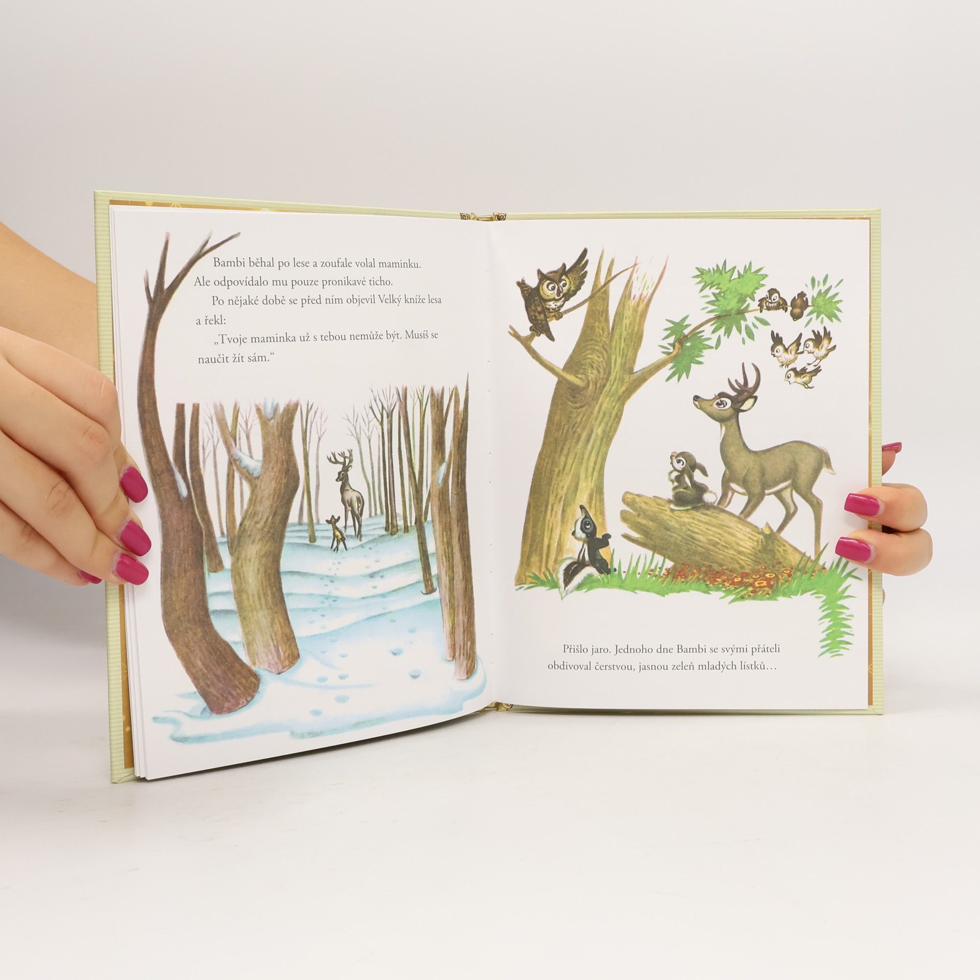 Kolektiv autorů Zlatá sbírka pohádek 4. Bambi