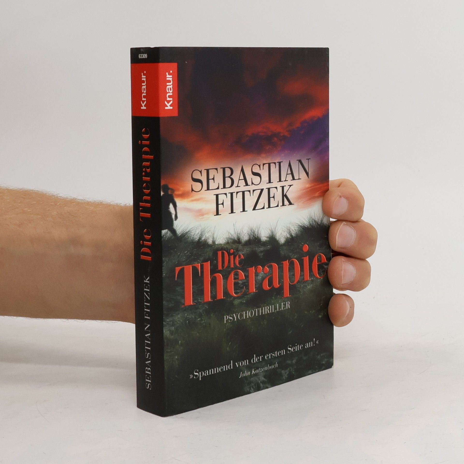 Sebastian Fitzek Die Therapie