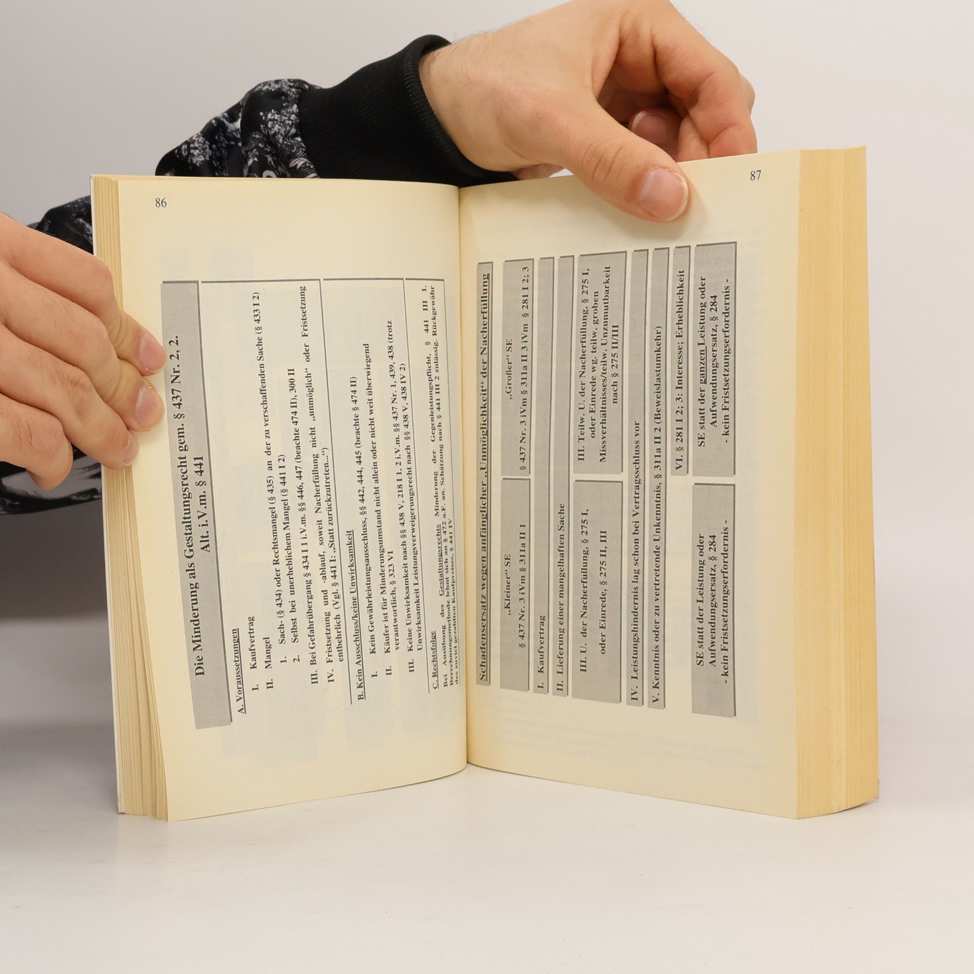 Heinrich Dorner Schuldrechtsmodernisierung - 2. unveränderte Auflage