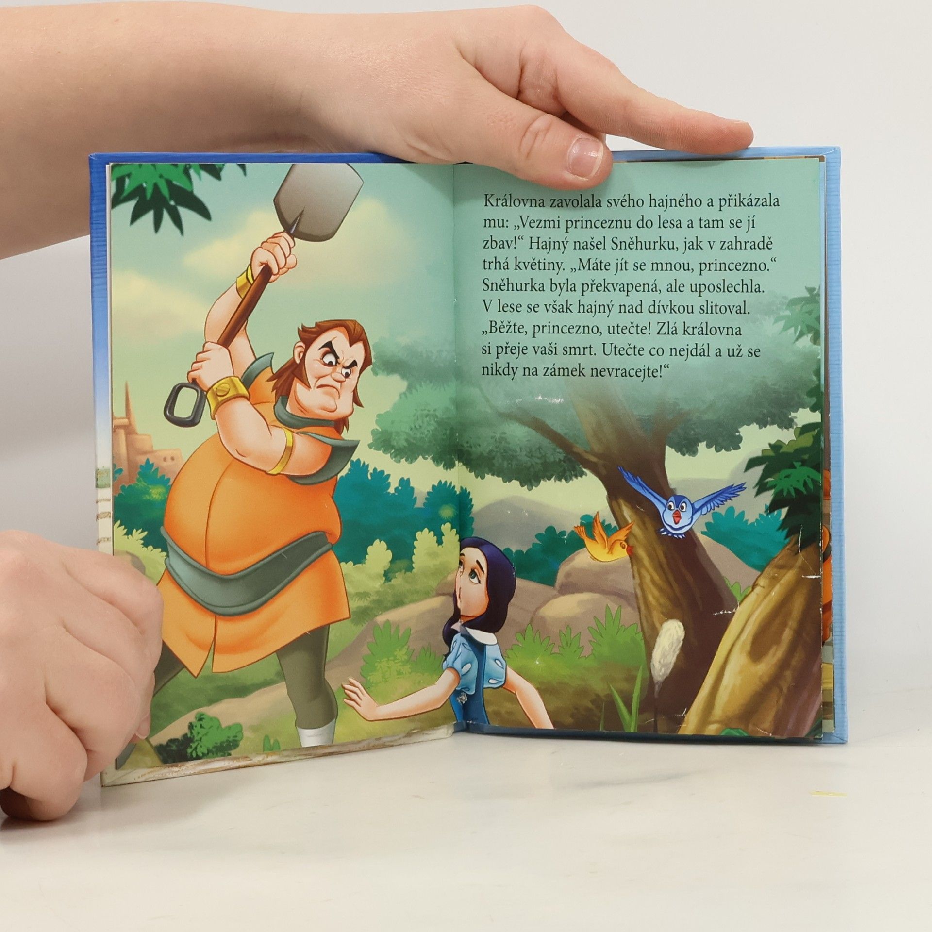 Walt Disney Sněhurka a sedm trpaslíků