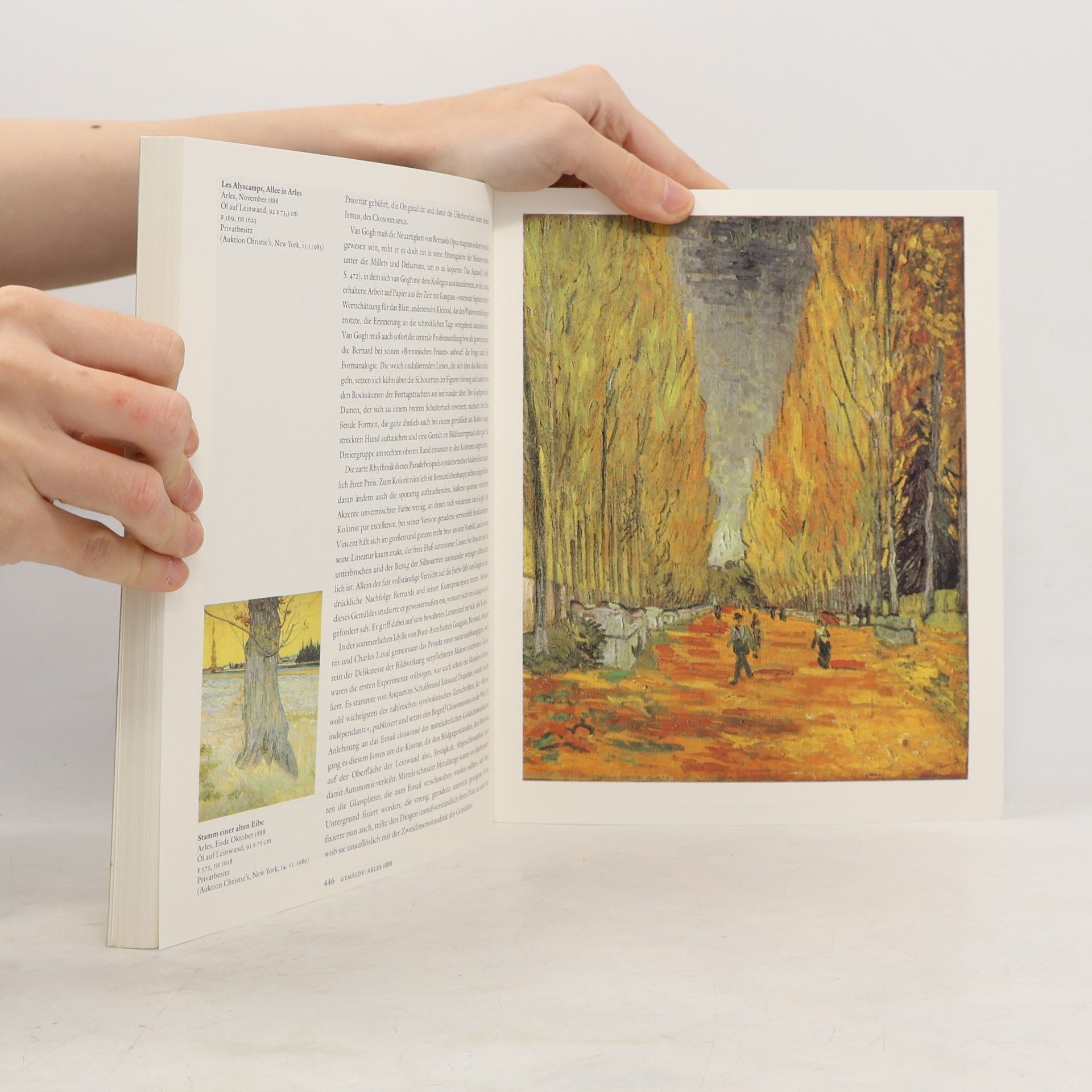 Rainer Metzger Vincent van Gogh. Sämtliche Gemälde I-II.