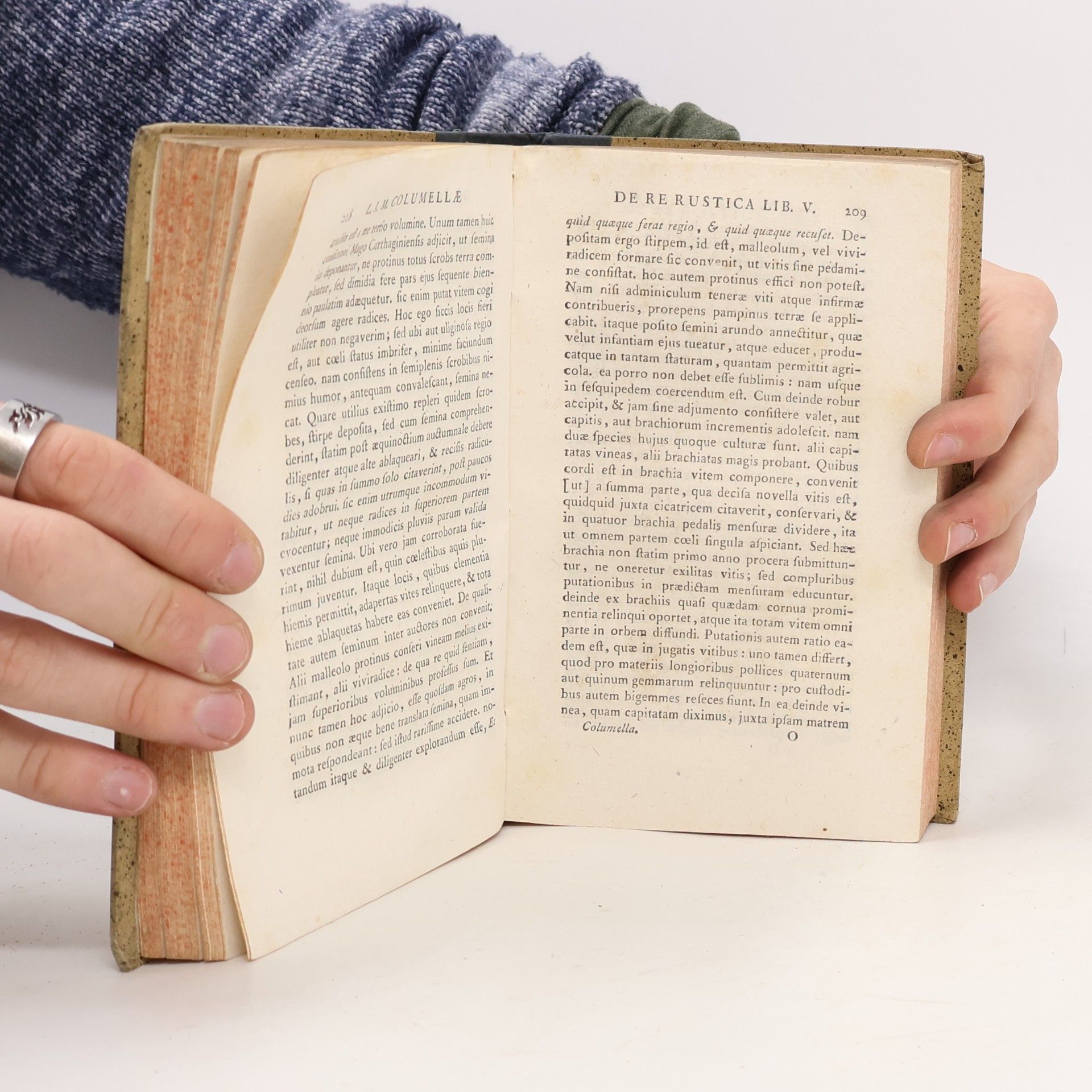 Jo. Matth. Gesner Lexicon Rusticum II.