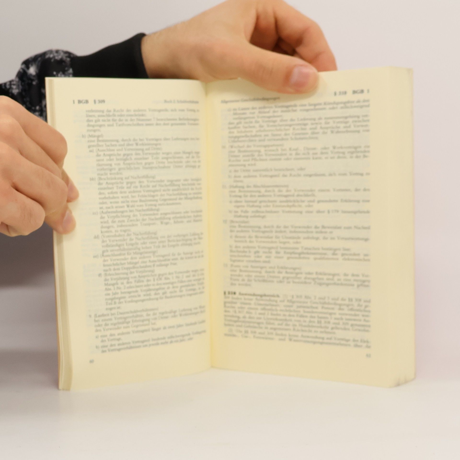 Stephan Lorenz Beck'sche Textausgaben: BGB 2002