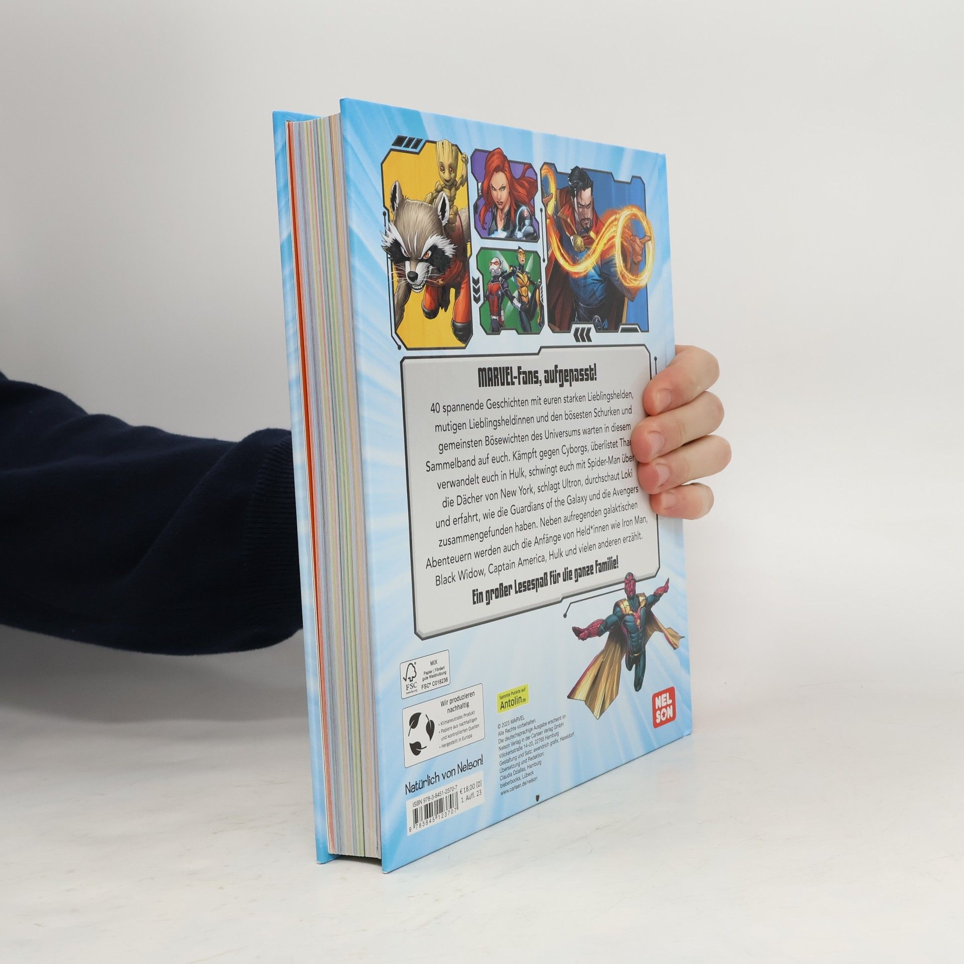 Various authors Marvel: Das große Geschichtenbuch