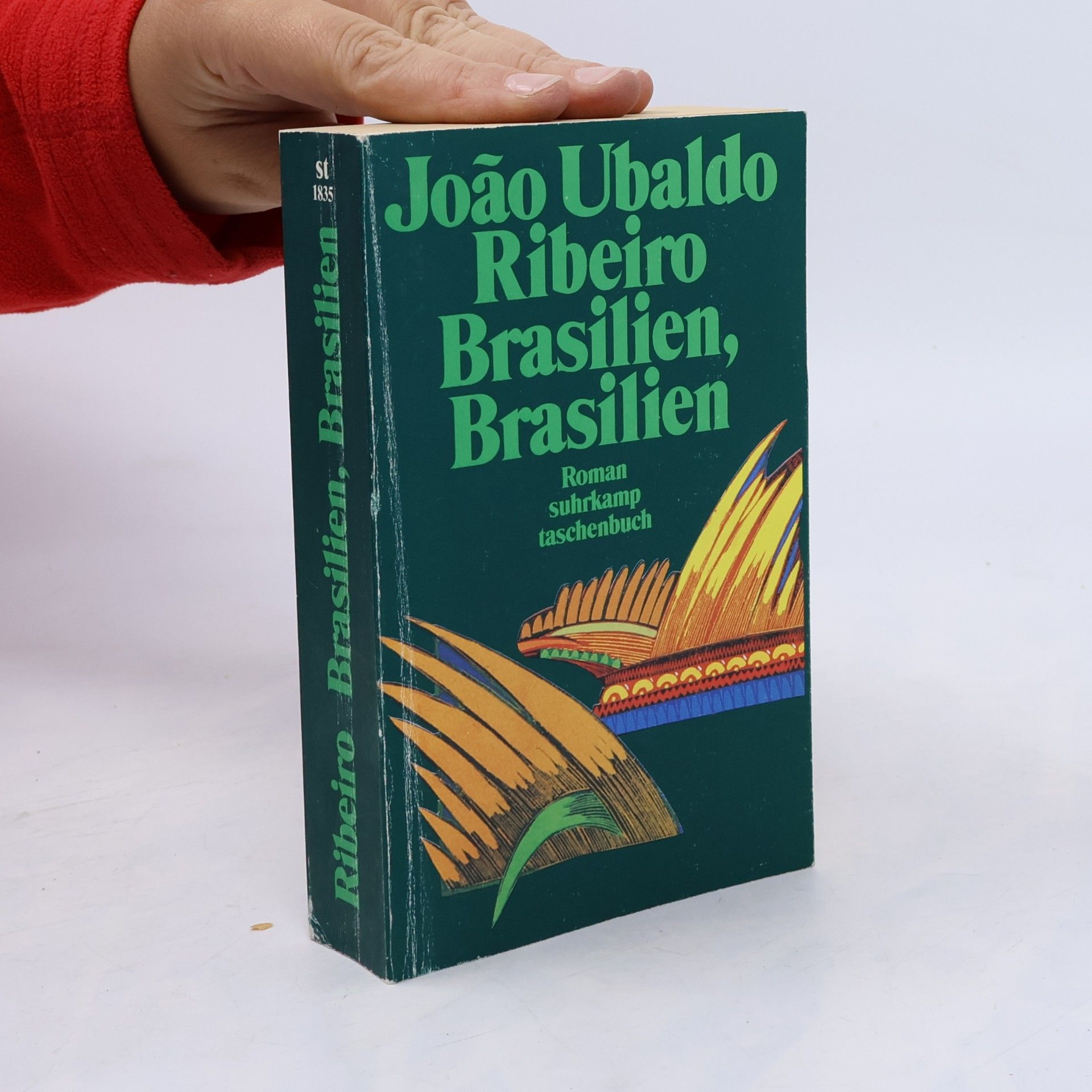 João Ubaldo Ribeiro Brasilien, Brasilien