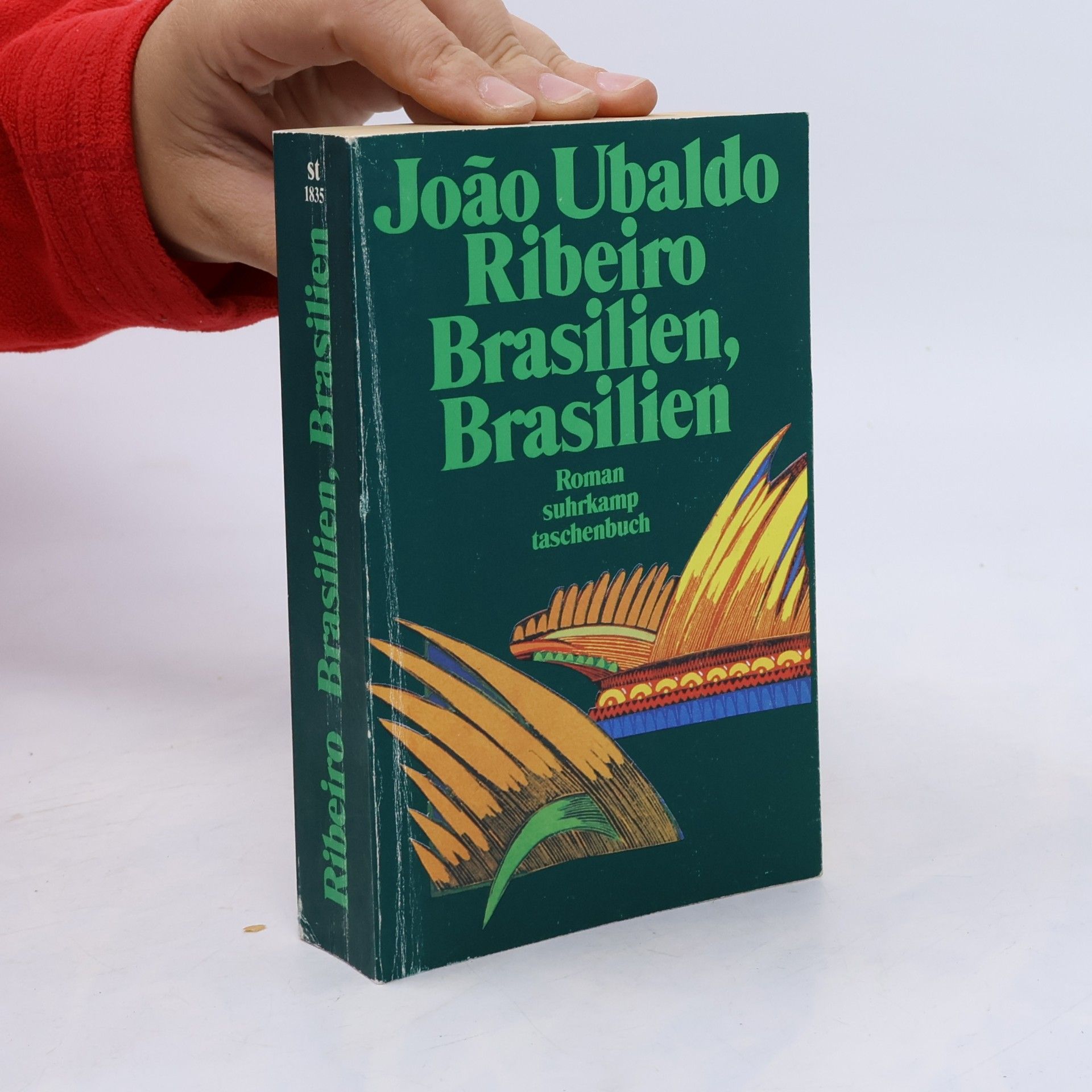 João Ubaldo Ribeiro Brasilien, Brasilien