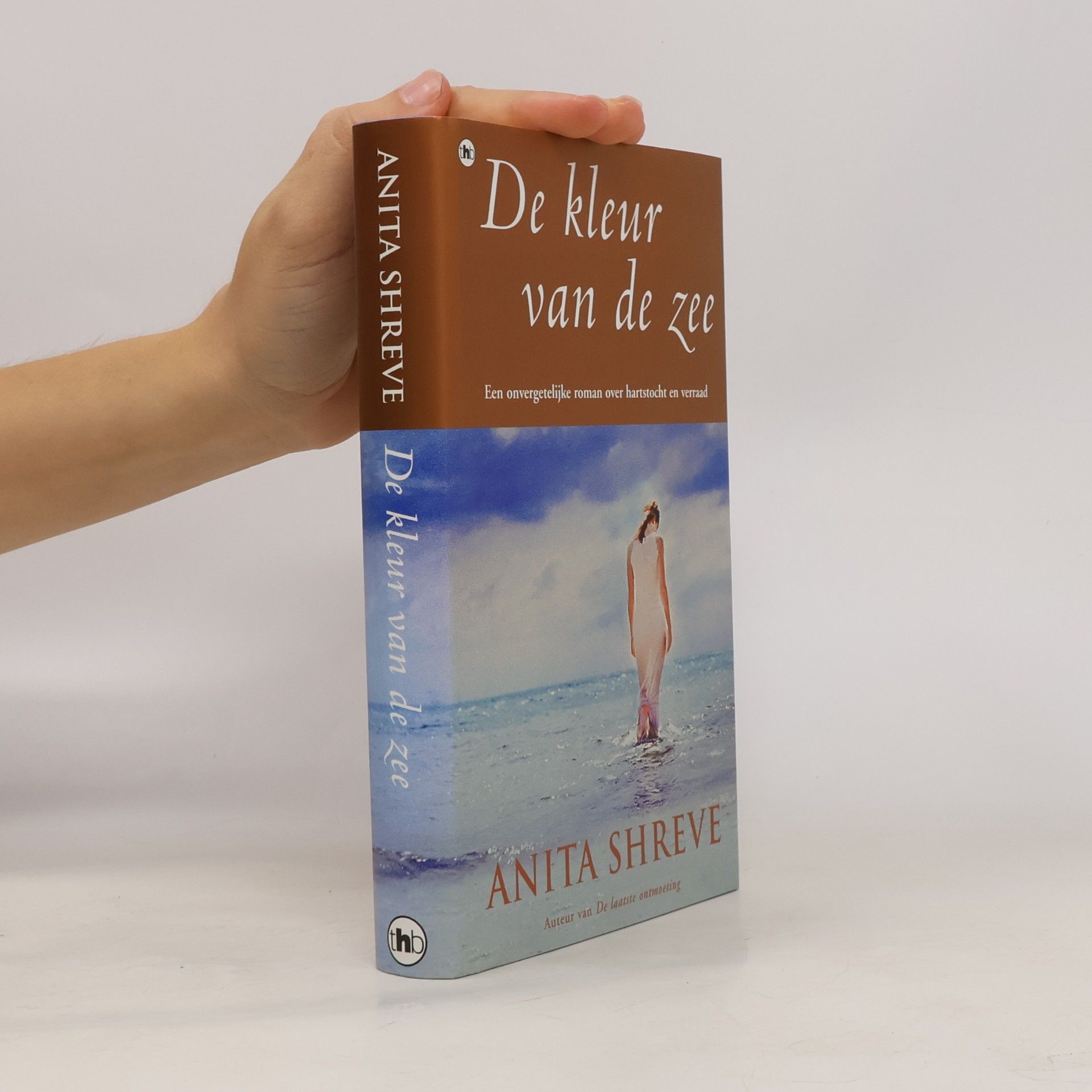Anita Shreve De kleur van de zee