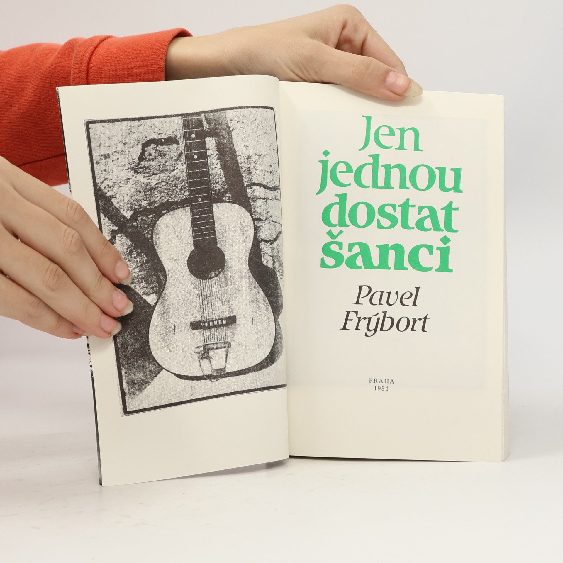 Pavel Frýbort Jen jednou dostat šanci