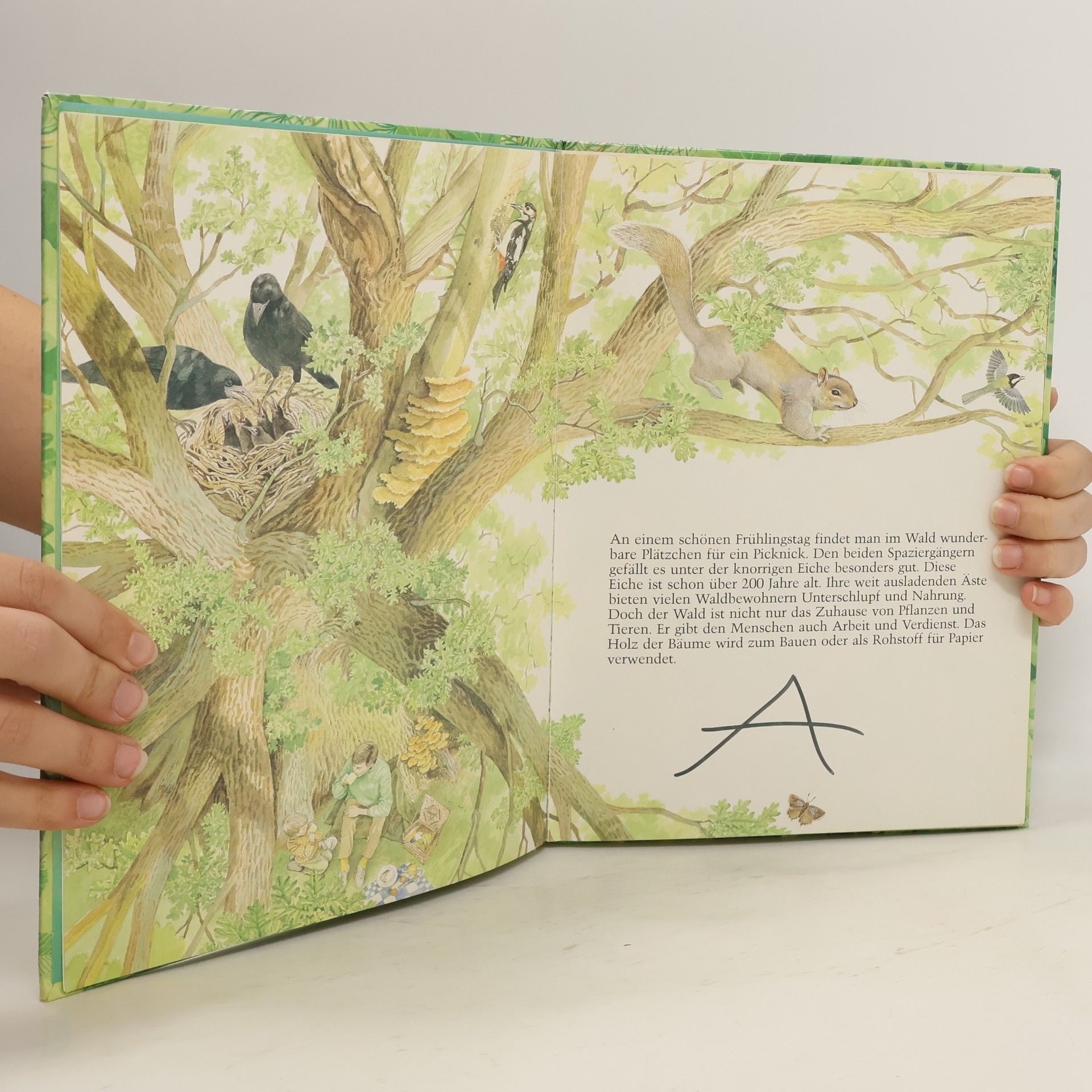 David Bellamy Im Wald