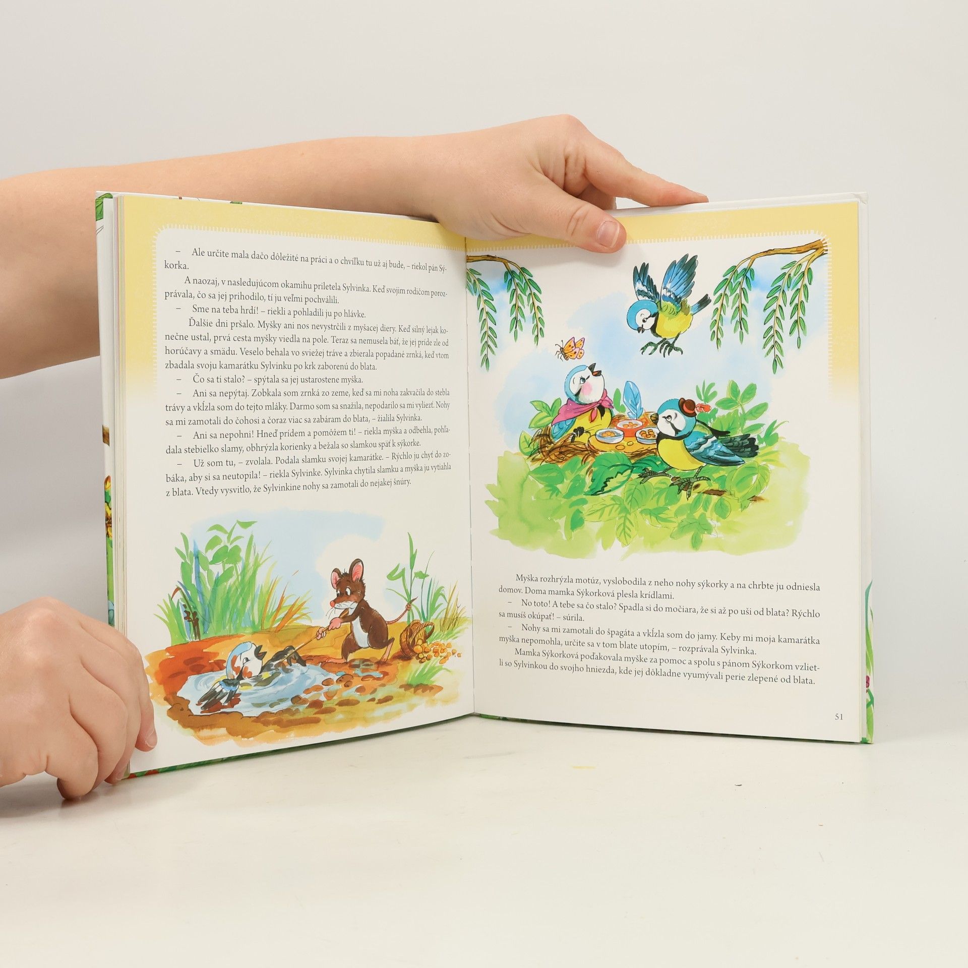Autorenkollektiv Rozprávky o chrobáčikoch