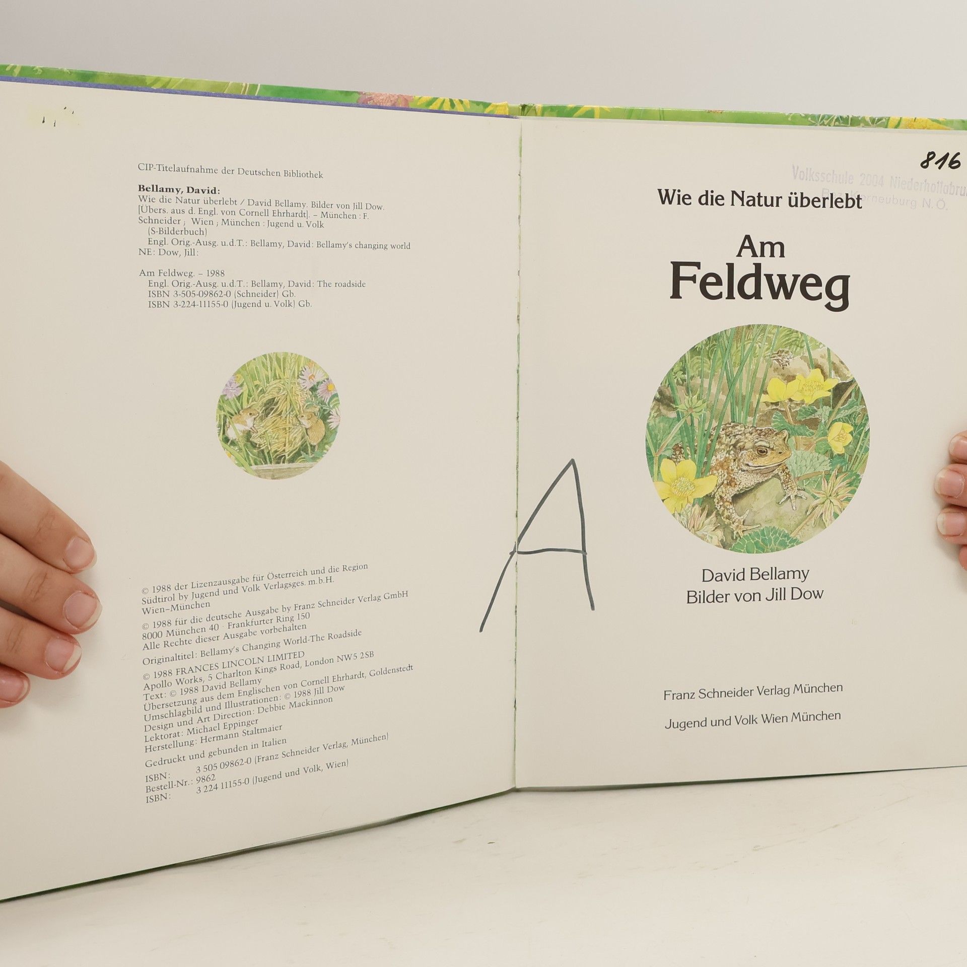 Jill Dow Wie die Natur überlebt