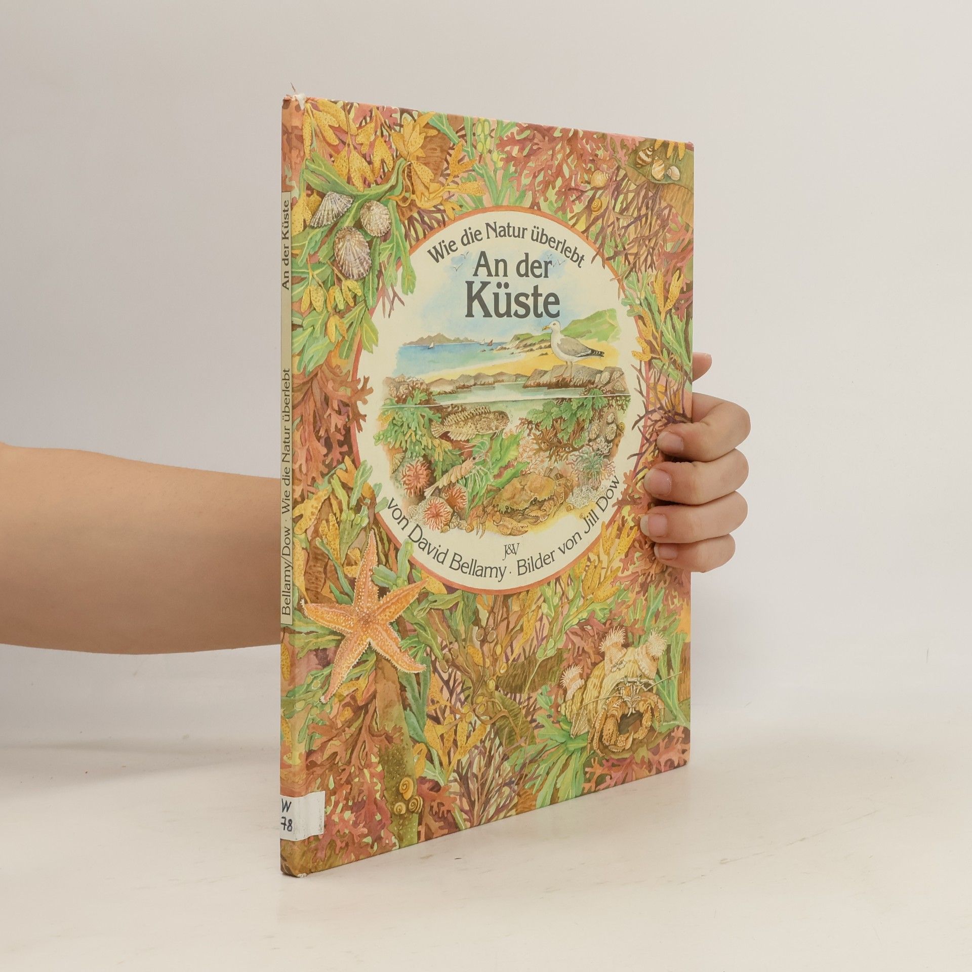 Wie die Natur überlebt - An der Küste