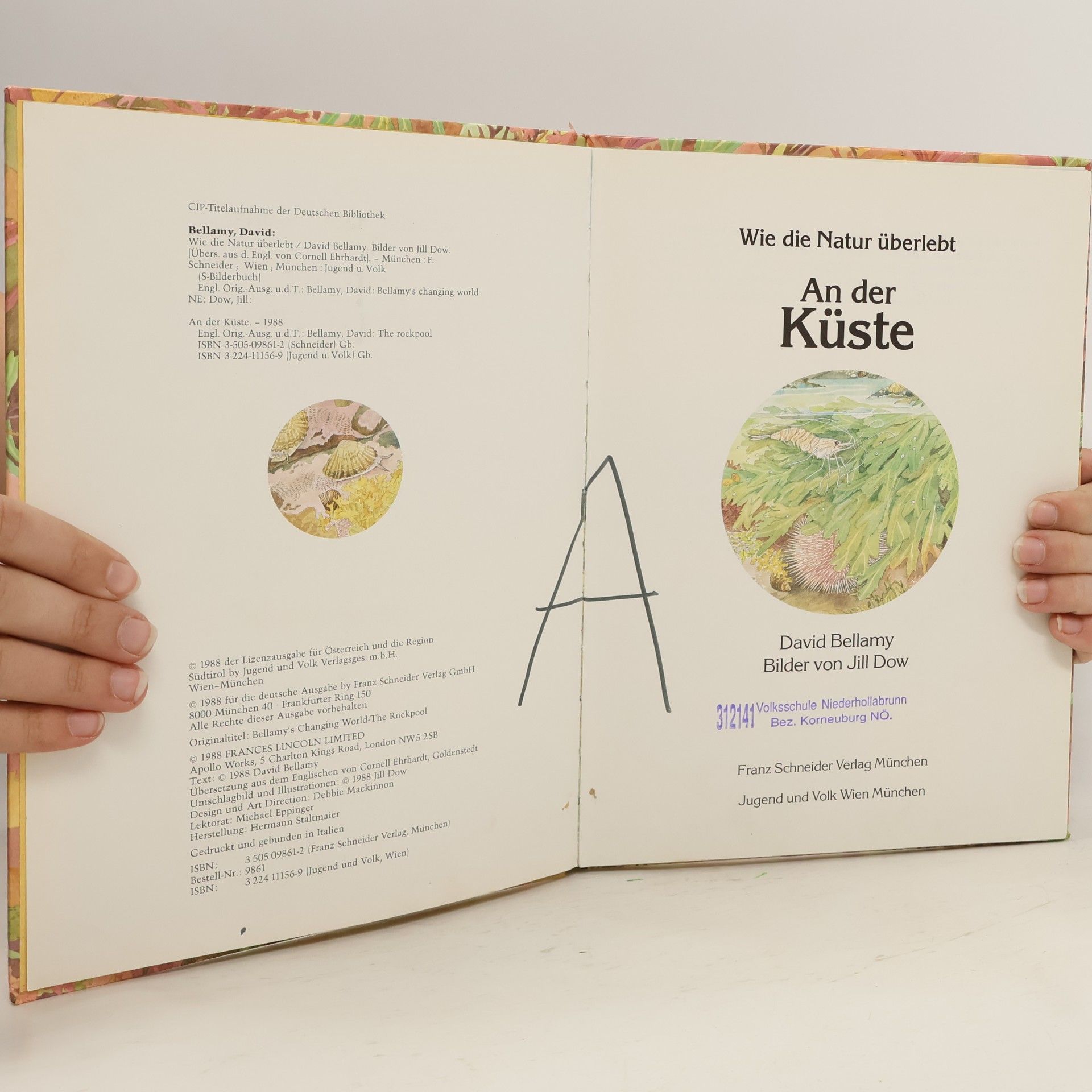 Jill Dow Wie die Natur überlebt - An der Küste