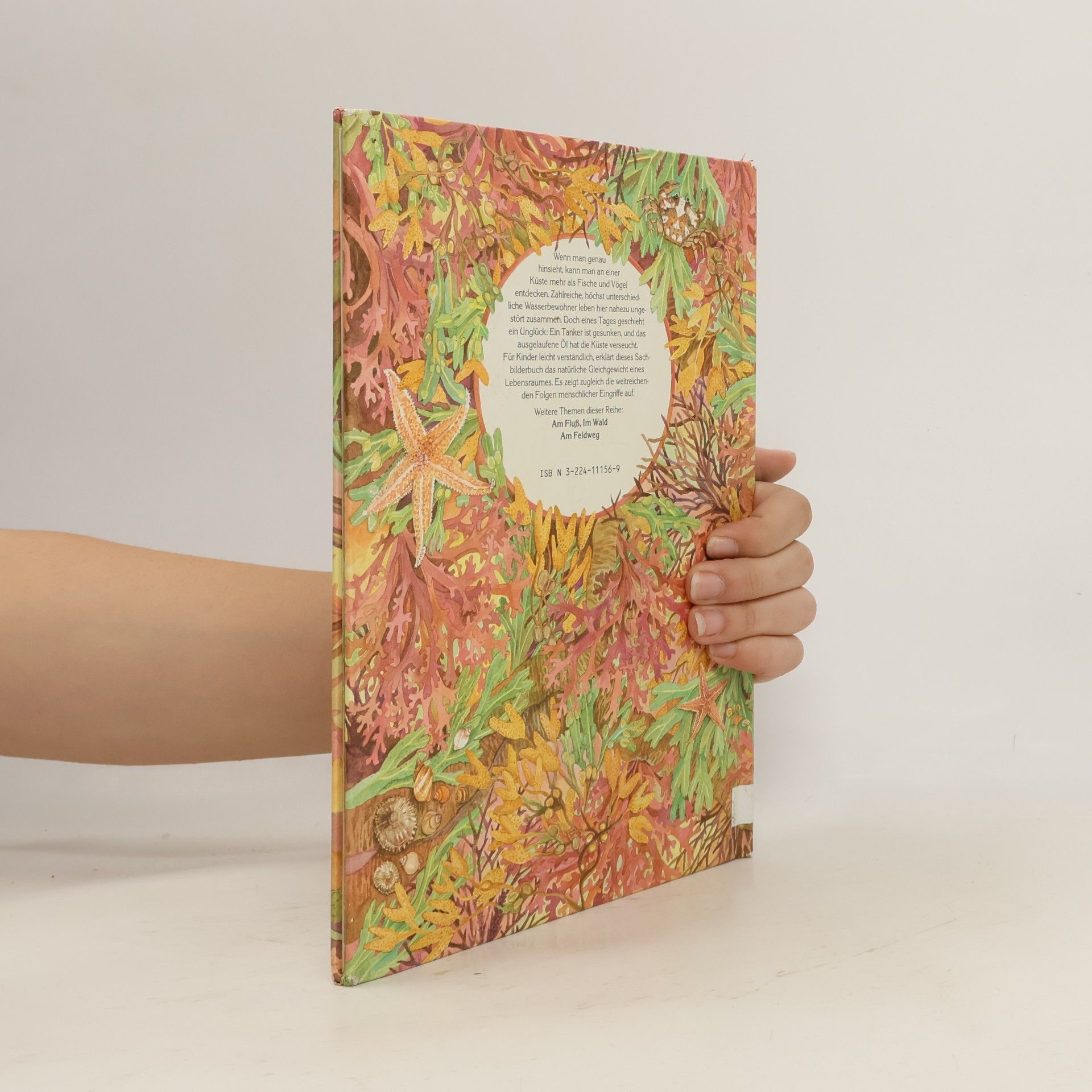 Jill Dow Wie die Natur überlebt - An der Küste