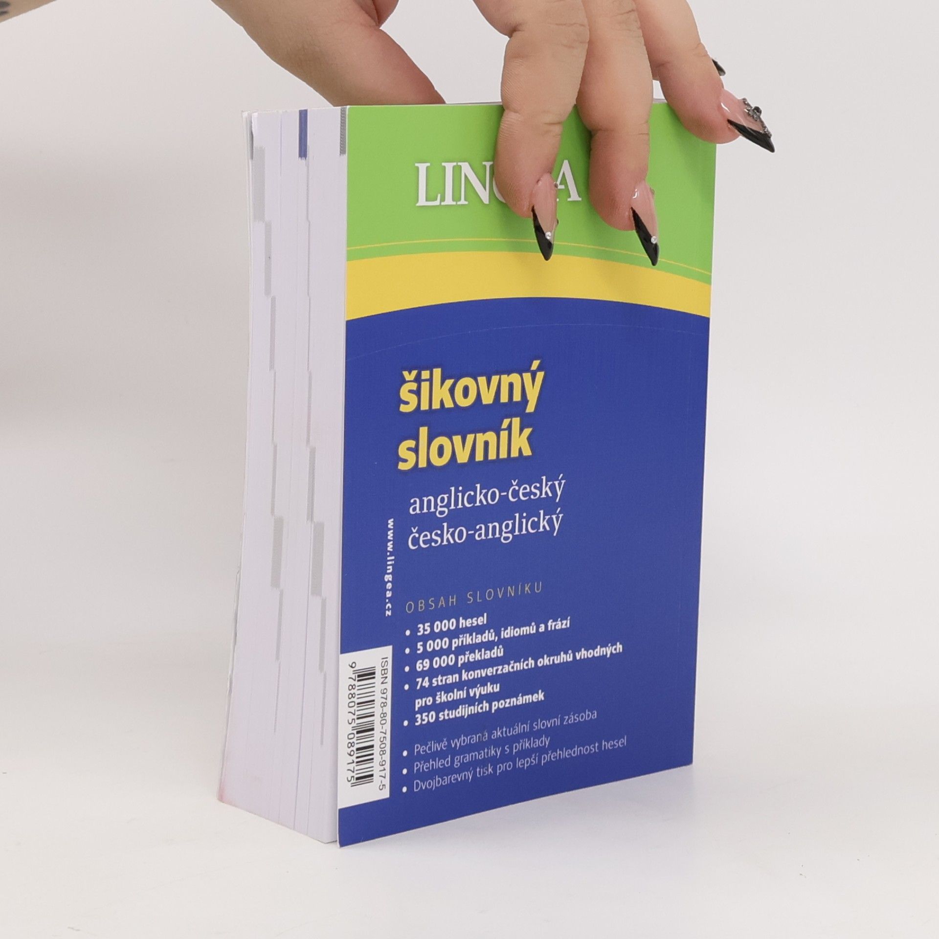Autorenkollektiv Šikovný slovník anglicko-český, česko-anglický