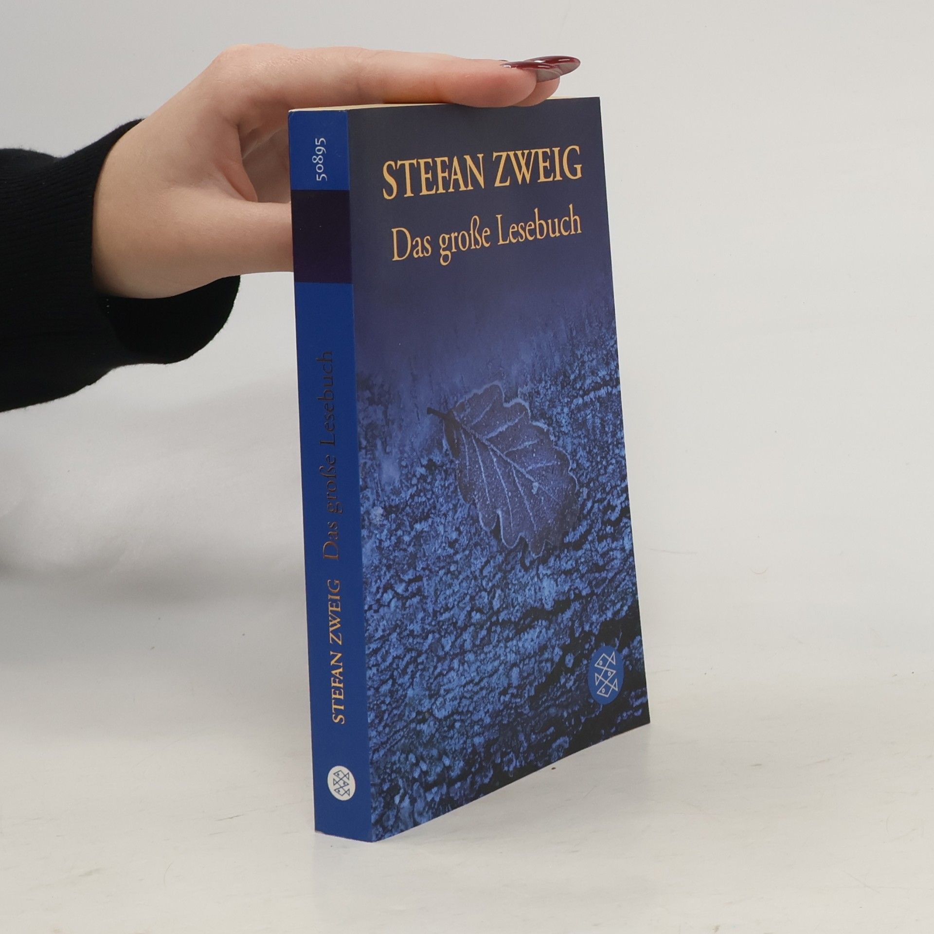 Stefan Zweig Das große Lesebuch