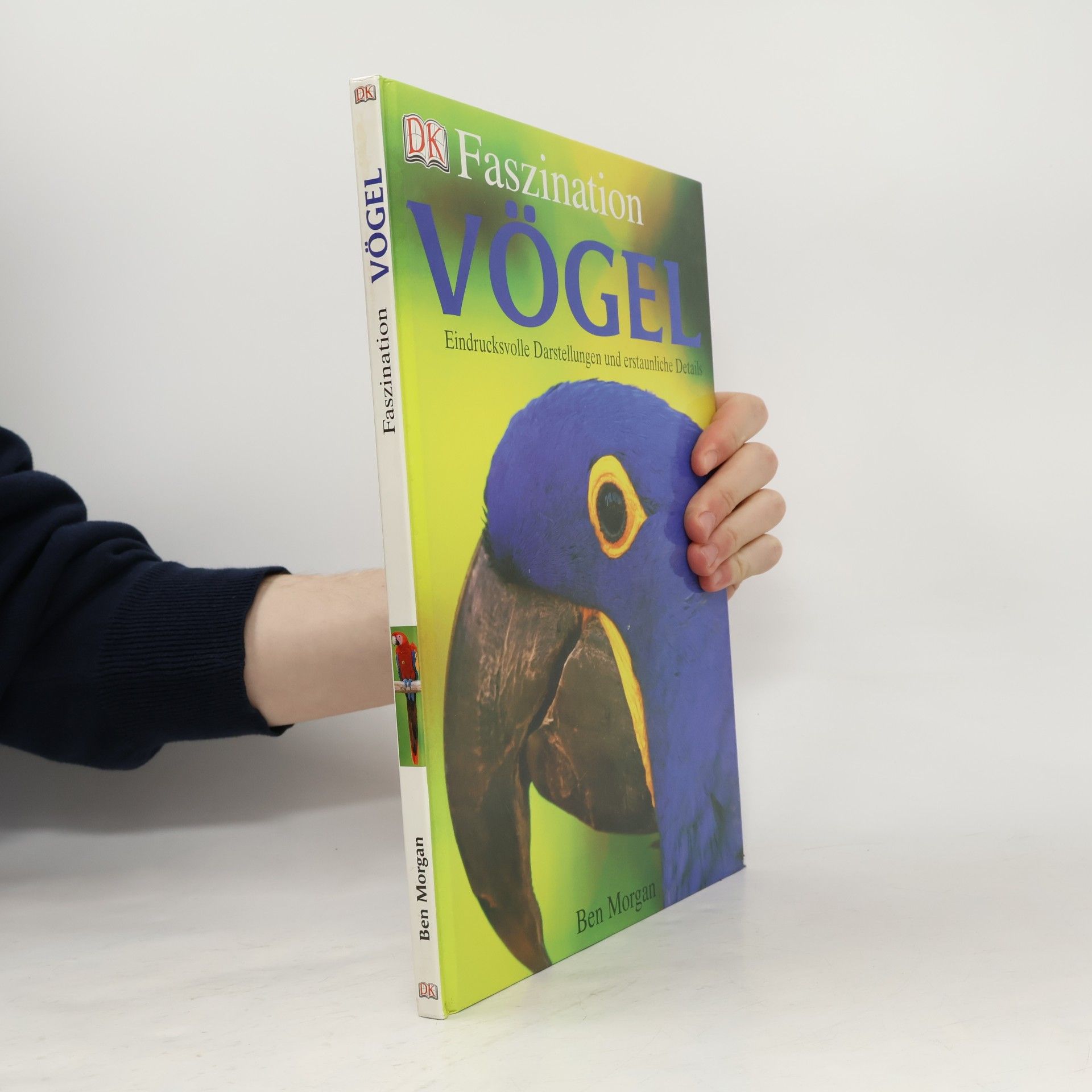 Faszination Vögel