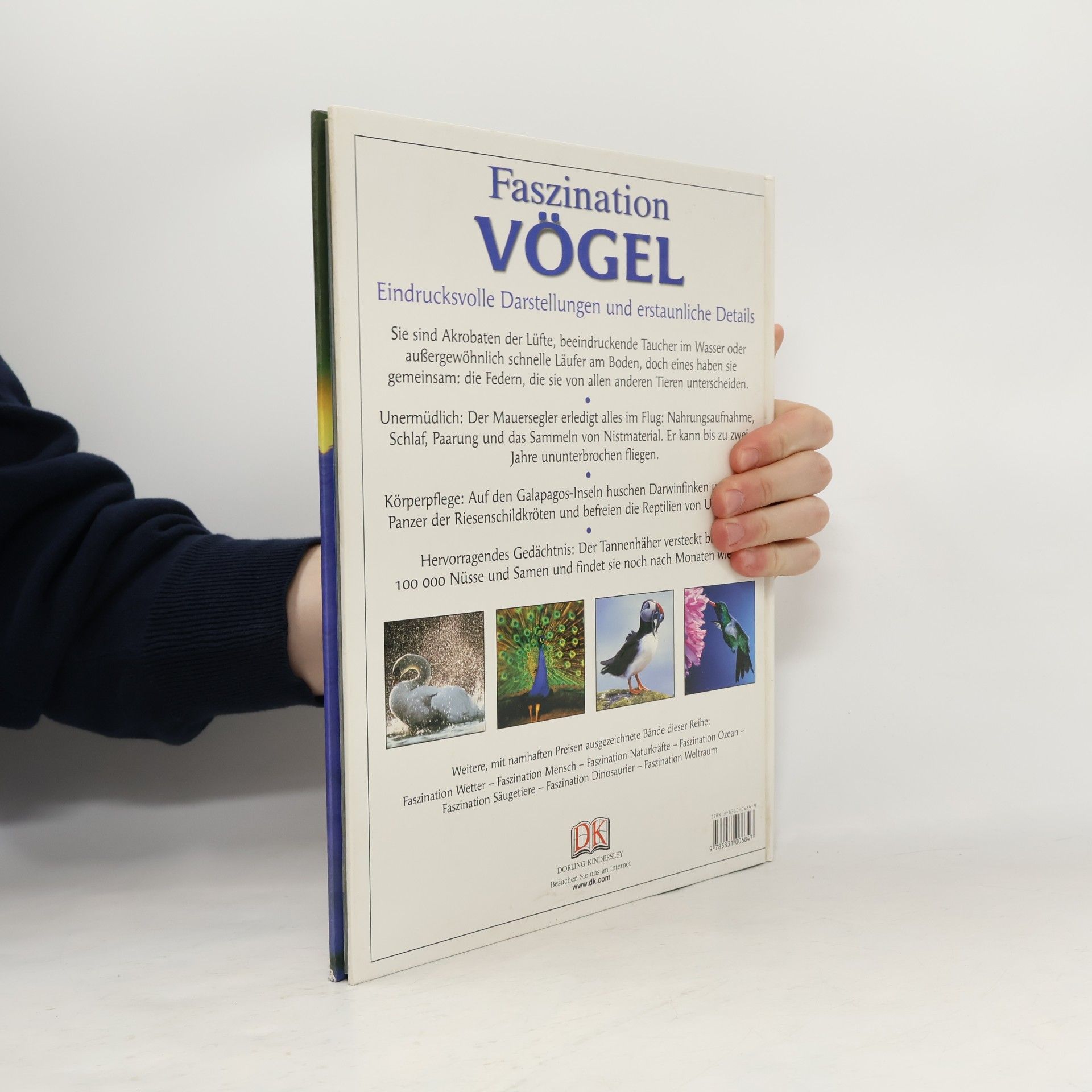 Ben Morgan Faszination Vögel