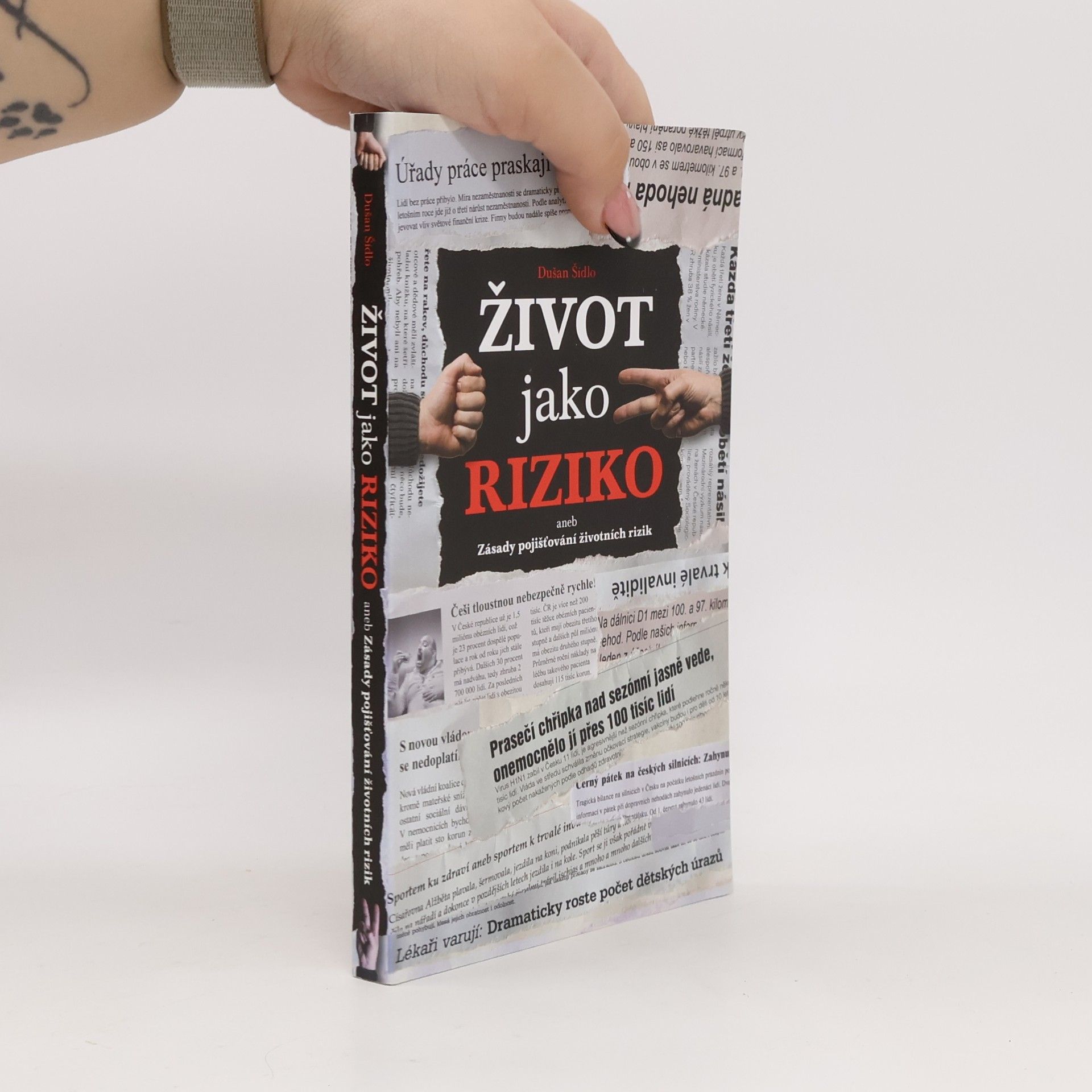 Dušan Šídlo Život jako riziko, aneb, Zásady pojišťování životních rizik
