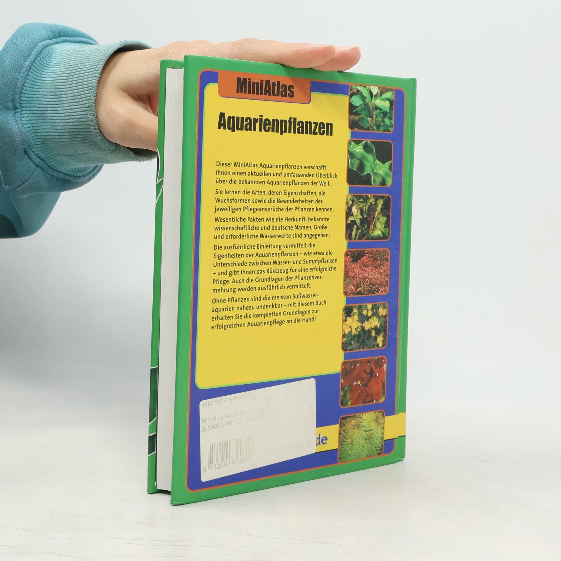 Jürgen Schmidt-Radefeldt MiniAtlas Aquarienpflanzen