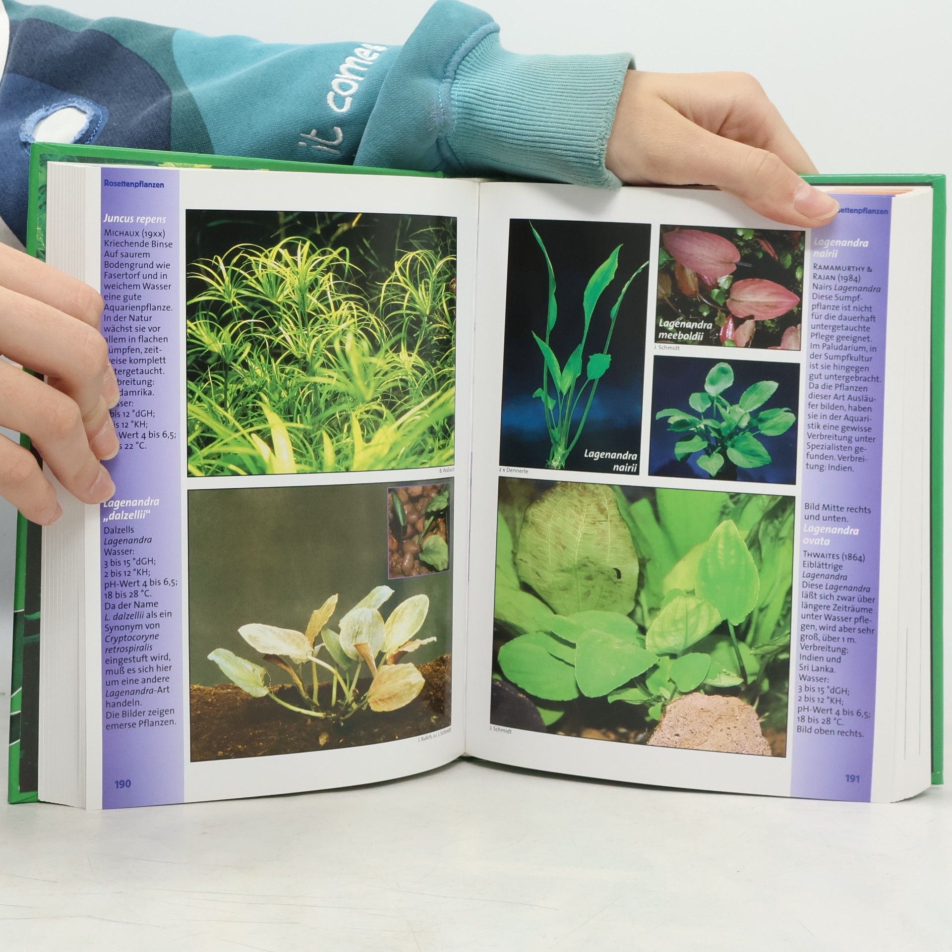 Jürgen Schmidt-Radefeldt MiniAtlas Aquarienpflanzen