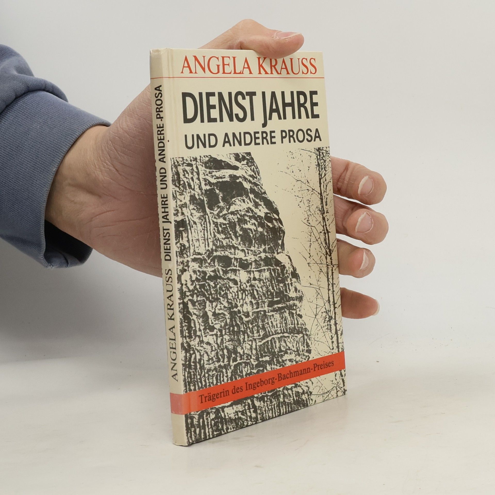 Dienst Jahre und andere Prosa
