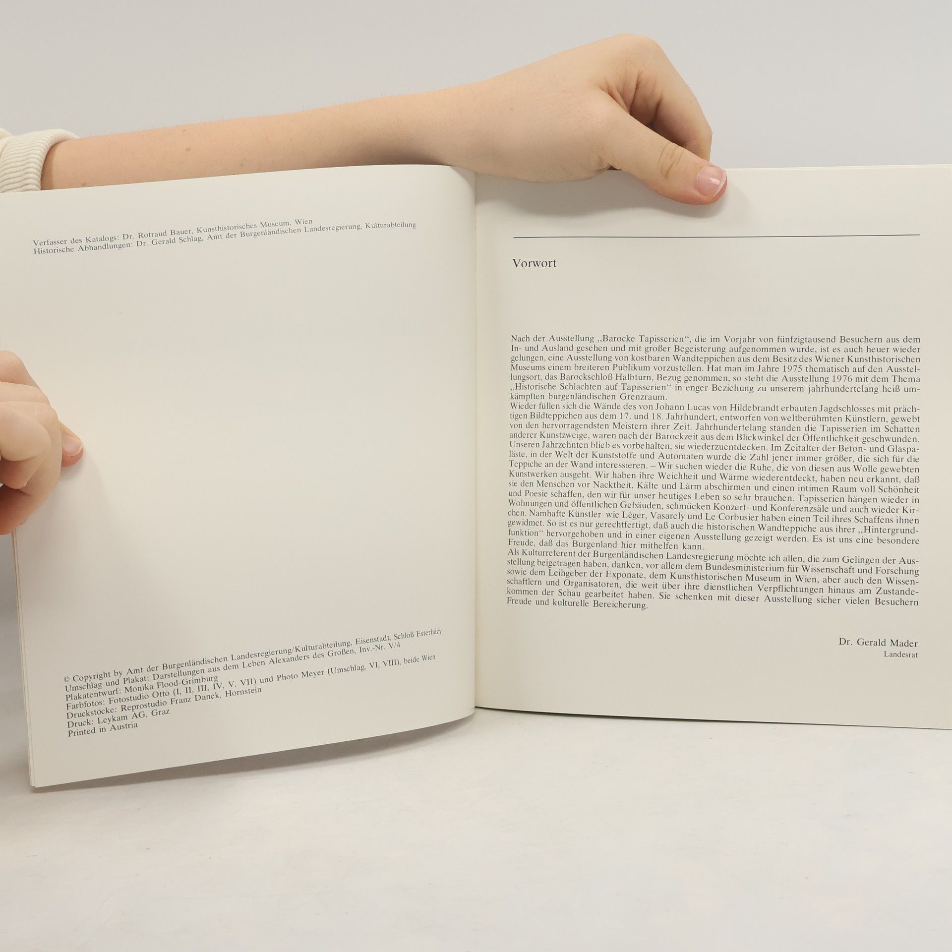 Autorenkollektiv Historische Schlachten auf Tapisserien aus dem Besitz des Kunsthistorischen Museums Wien