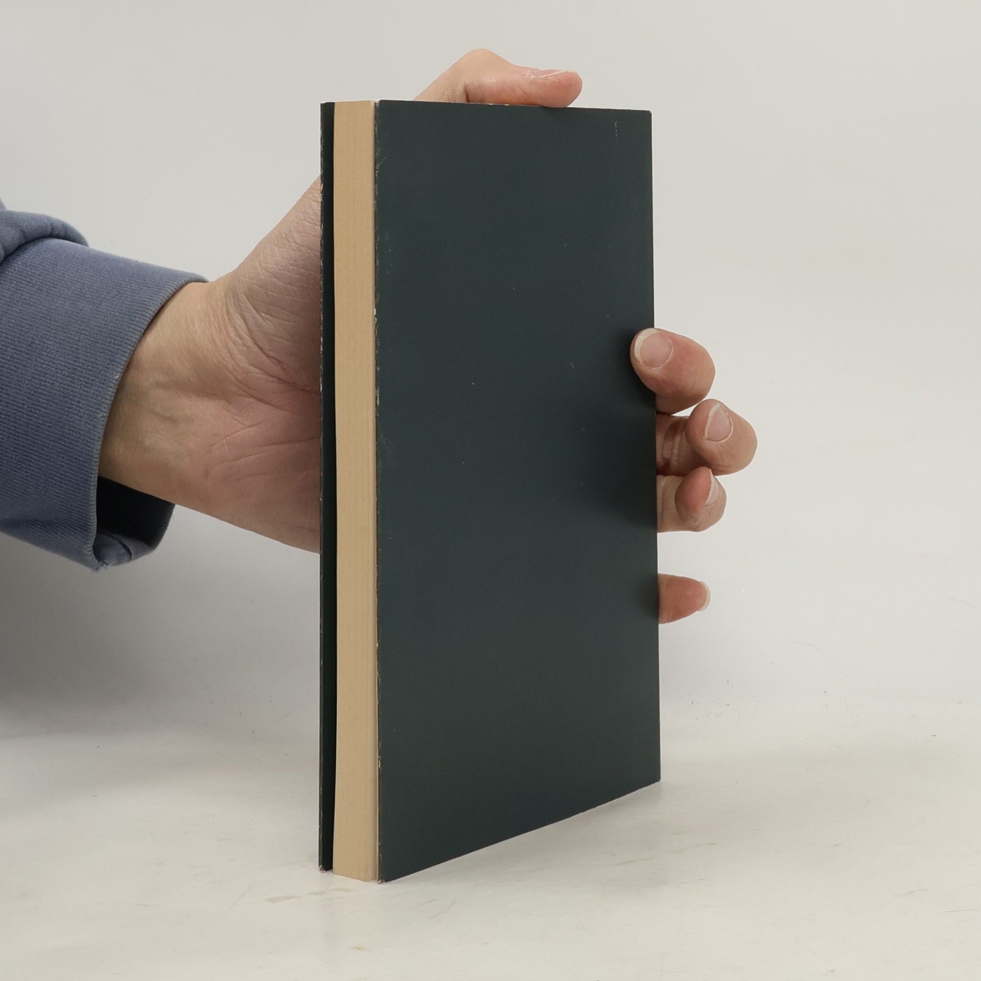 Andreas Koziol Abriss der Ariadnefabrik