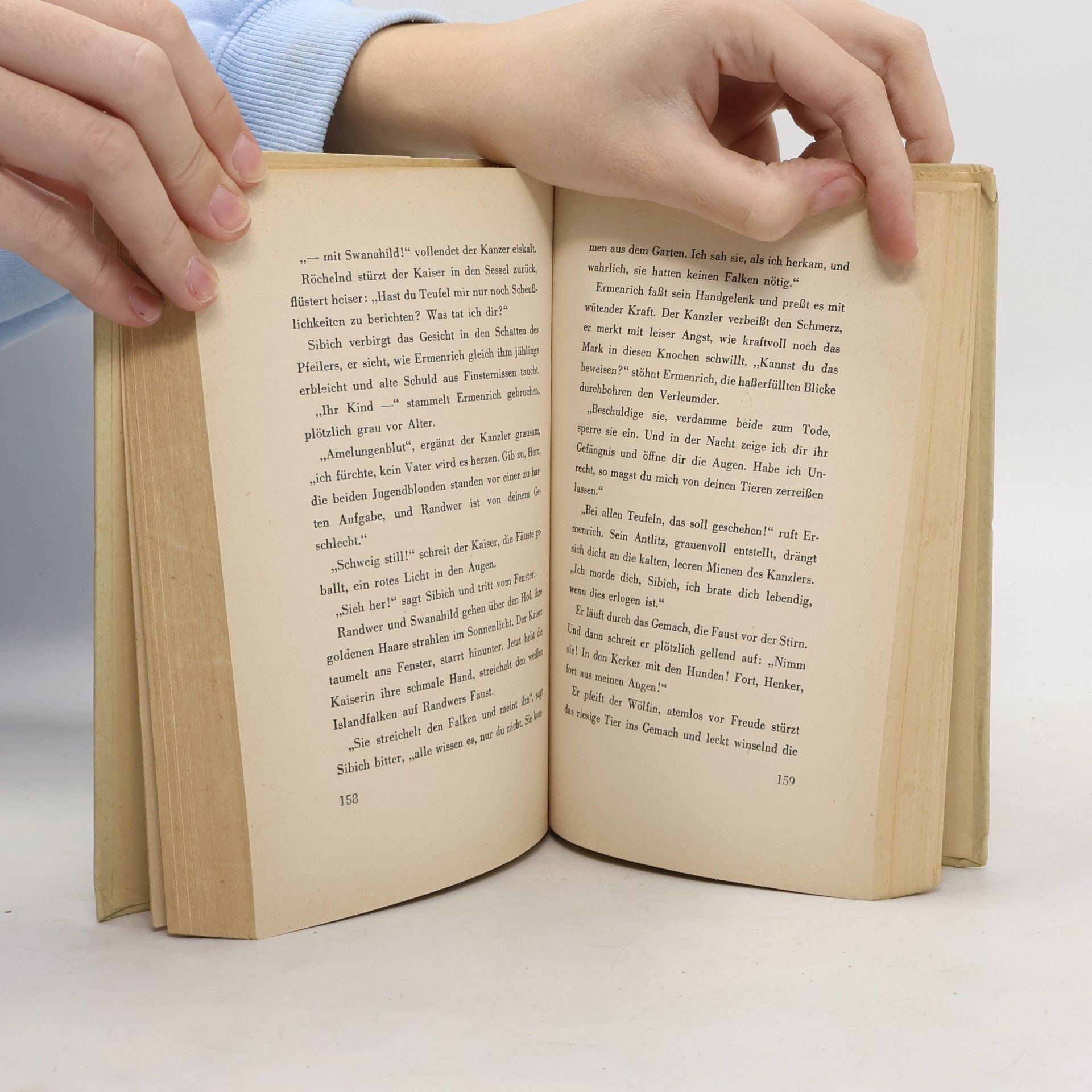 Werner Jansen Das Buch Leidenschaft