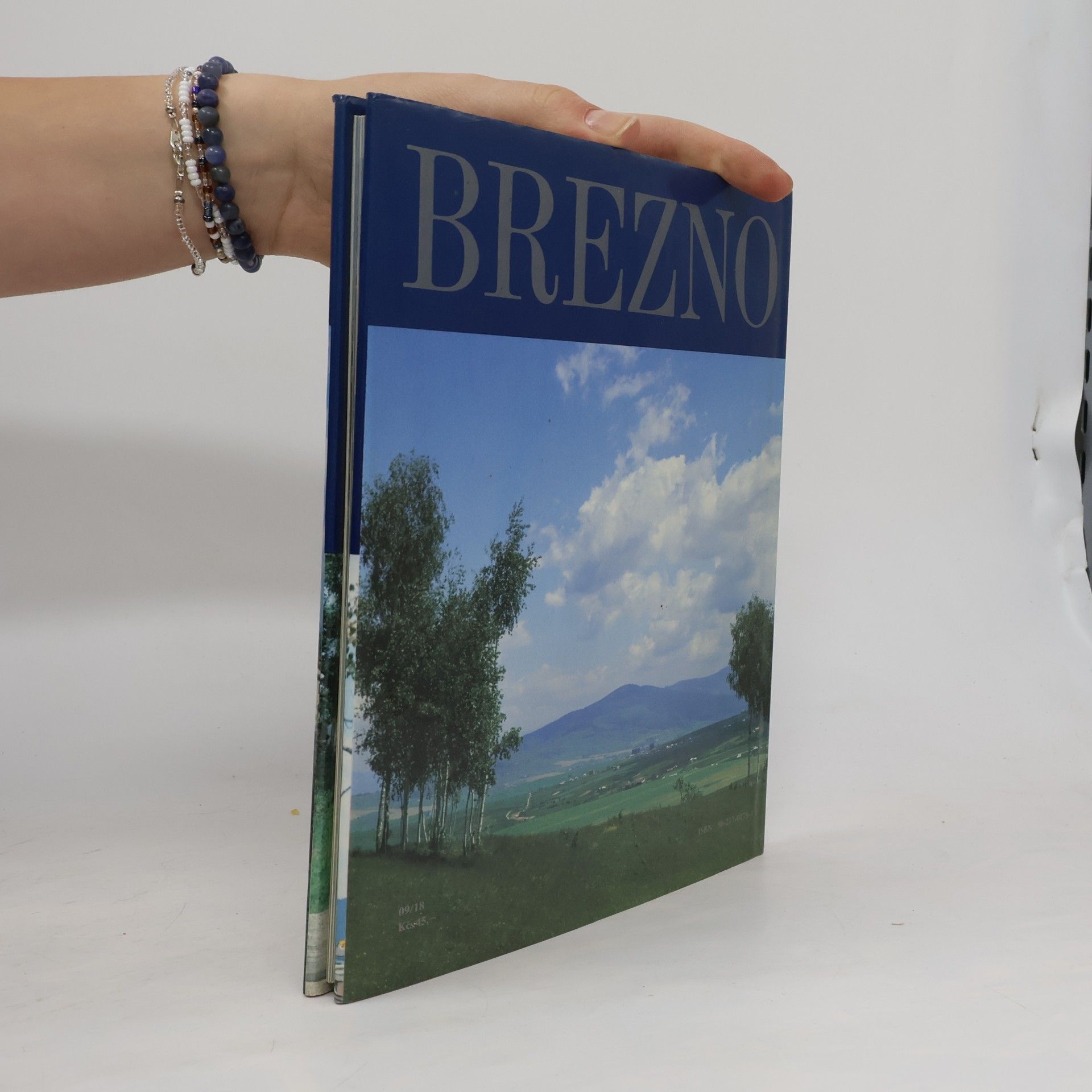 Lukáš Bošela Brezno