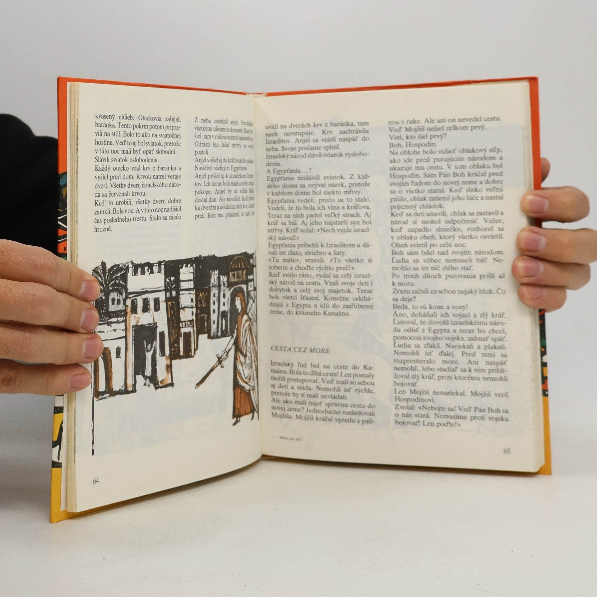 Anne de Vries Biblia pre deti