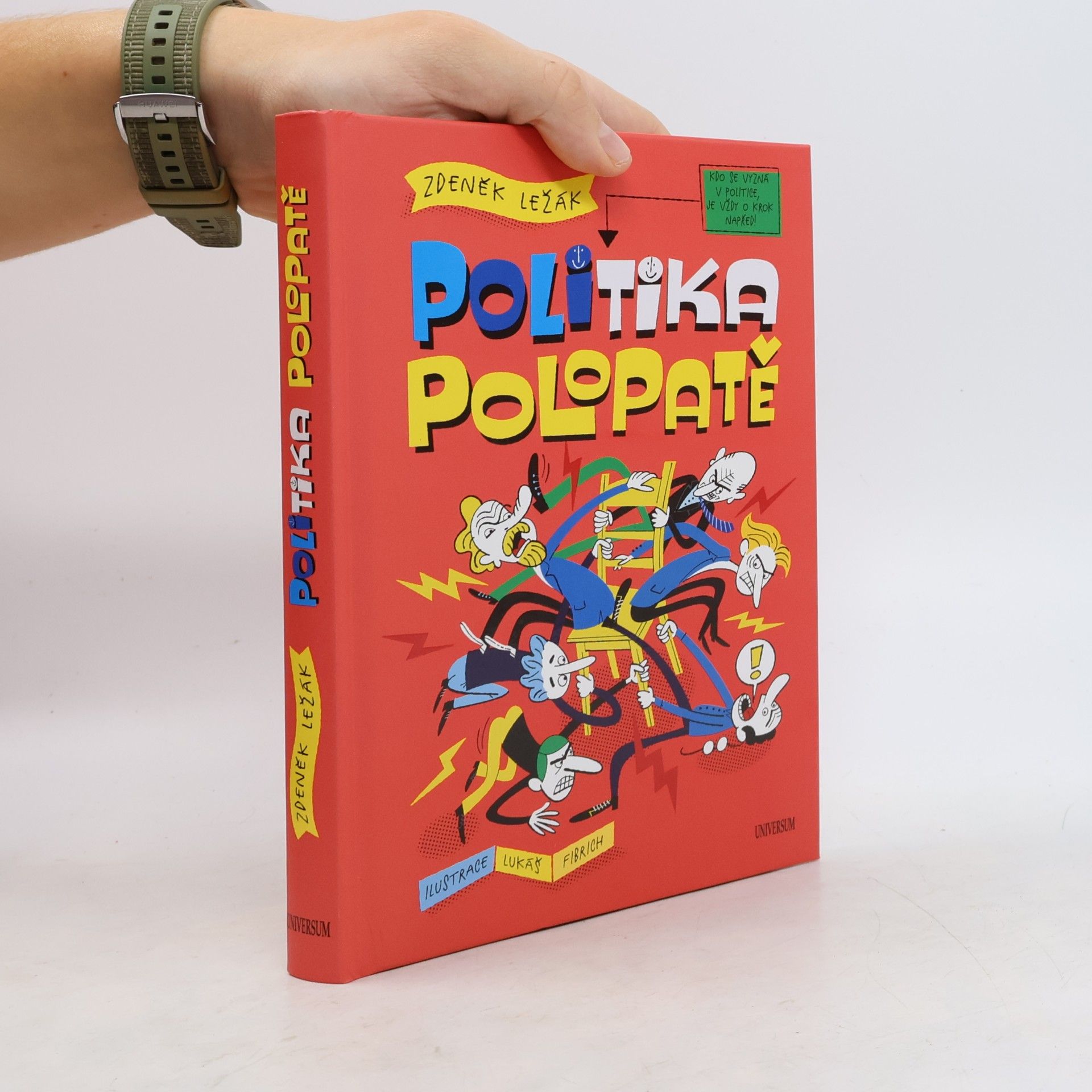 Politika polopatě