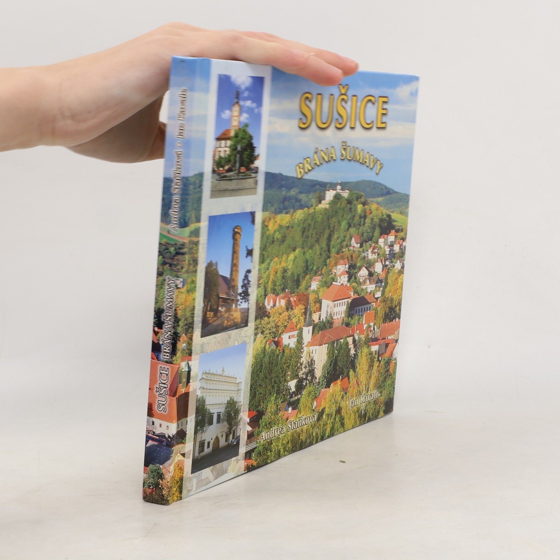 Sušice, brána Šumavy