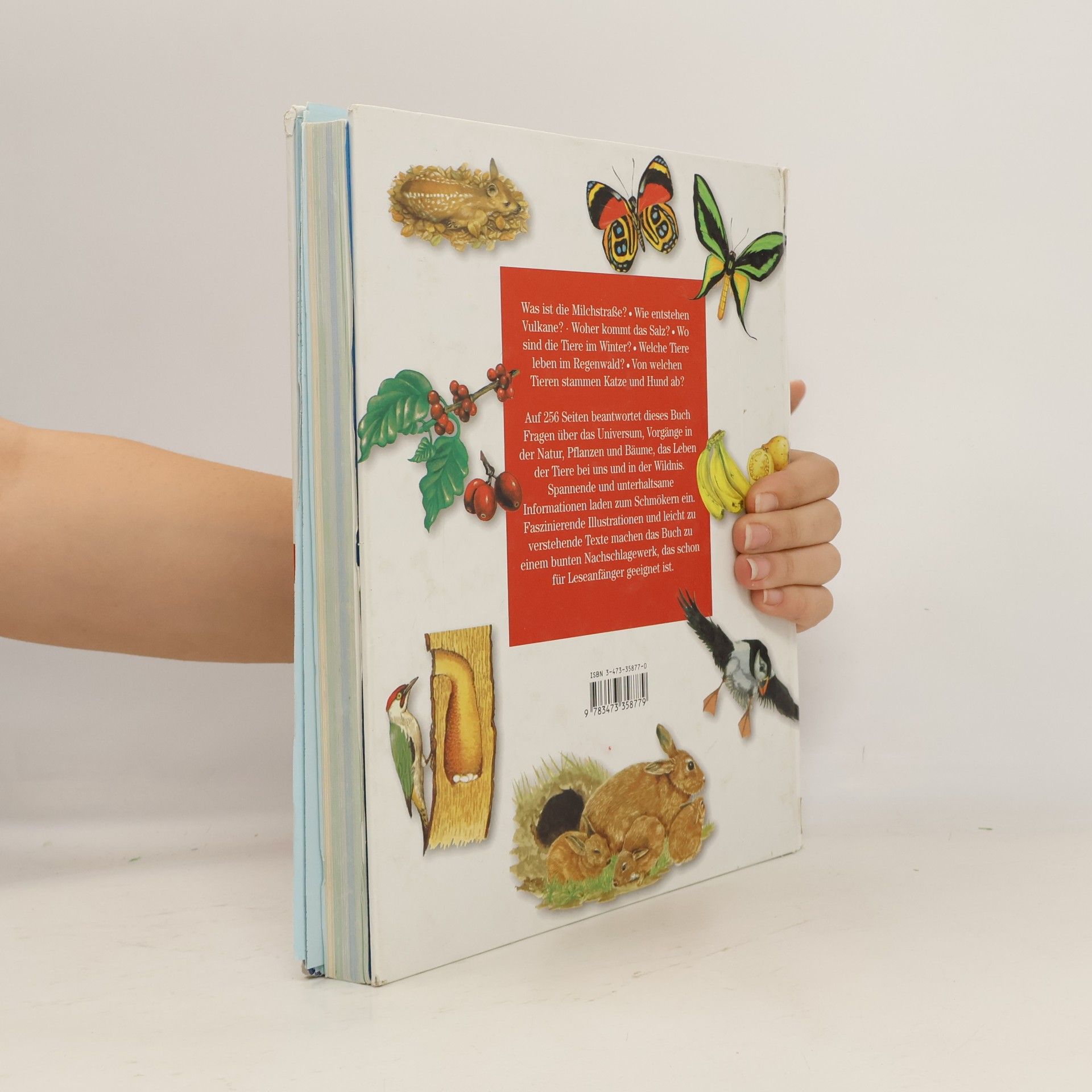 Collectif d'auteurs Farbige Welt 2. Natur und Tiere.