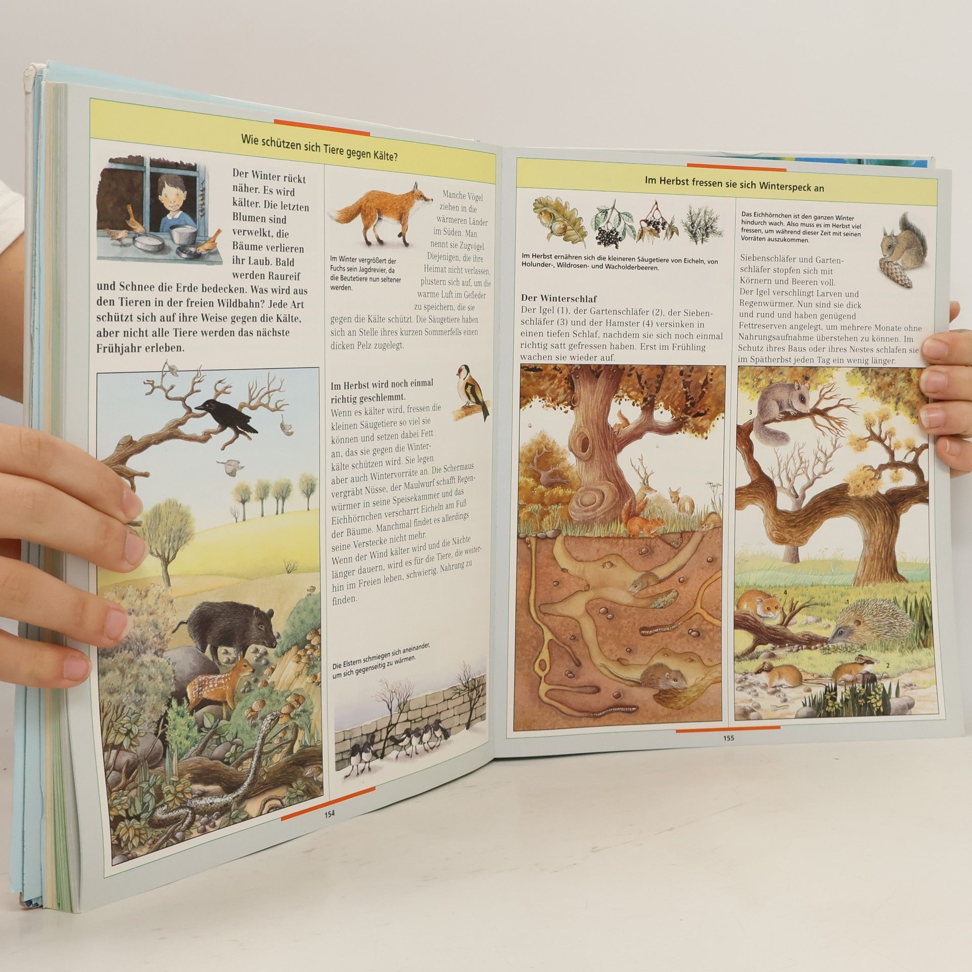 Collectif d'auteurs Farbige Welt 2. Natur und Tiere.