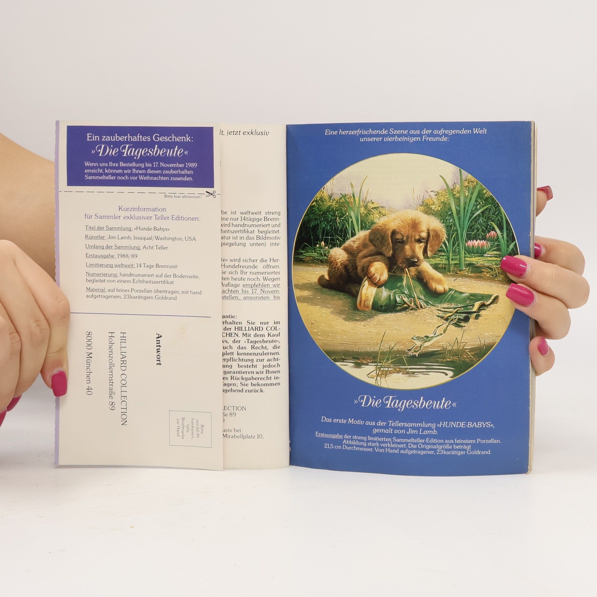 Autorenkollektiv Das Beste aus Reader's Digest 11/1989