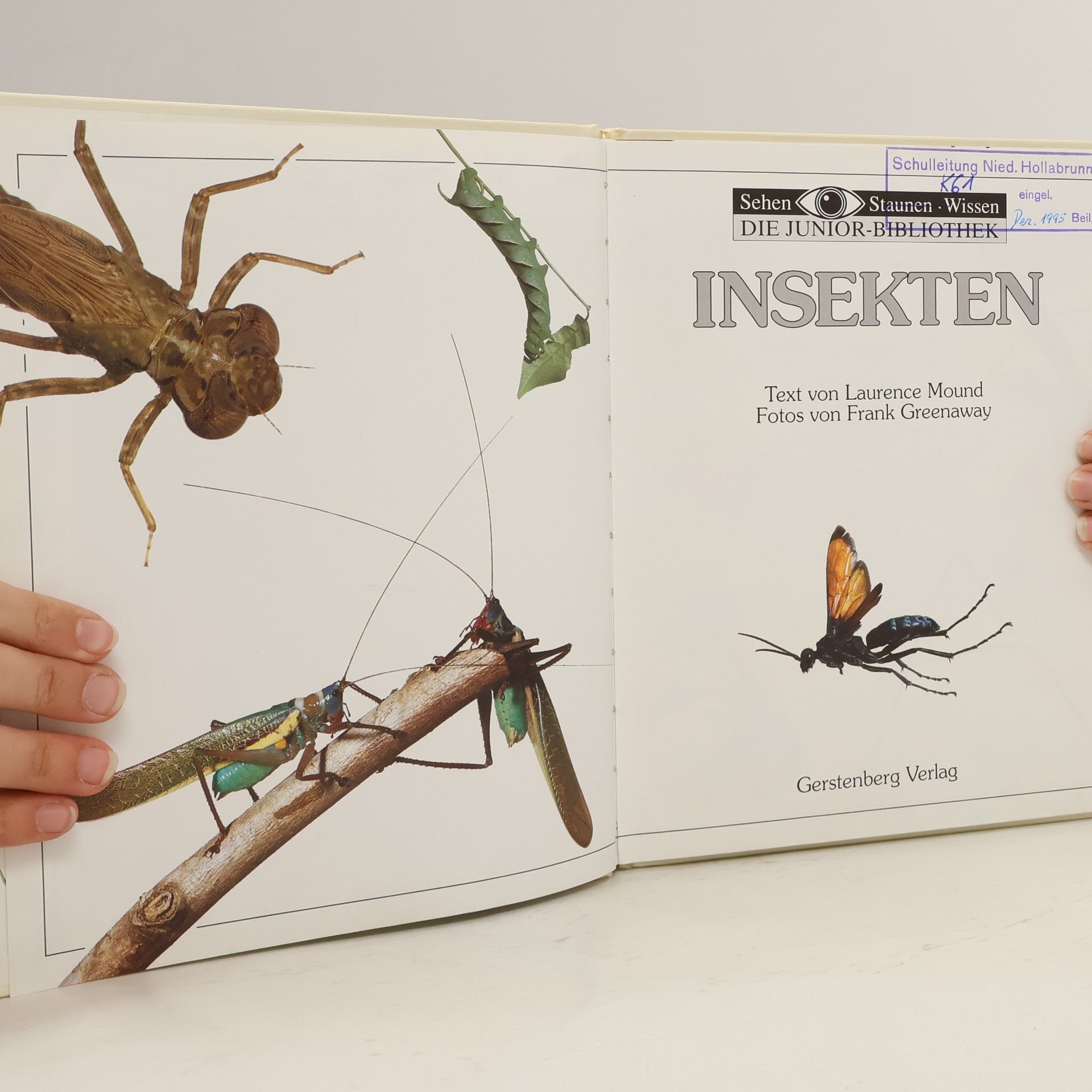Laurence Alfred Mound Insekten