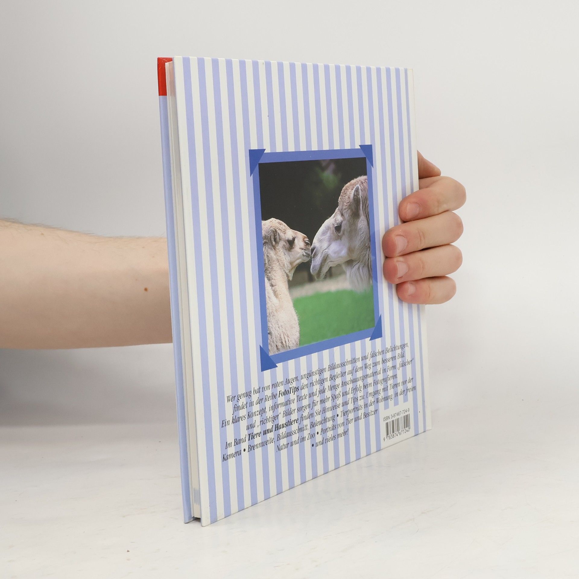 Dieter Beckhusen Mehr Spaß an der Fotografie - Tiere und Haustiere