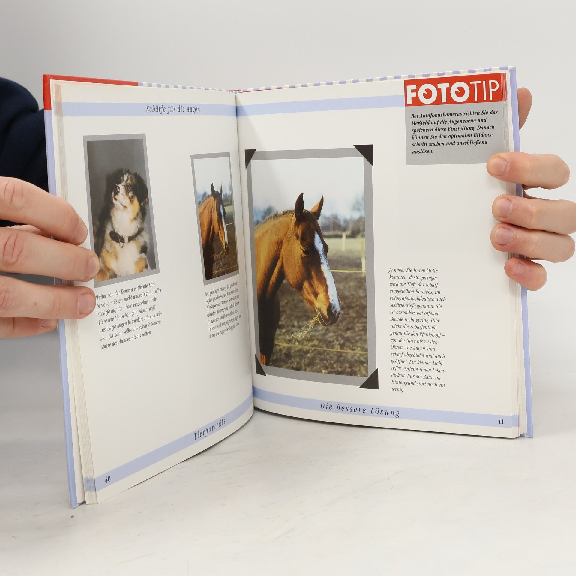 Dieter Beckhusen Mehr Spaß an der Fotografie - Tiere und Haustiere