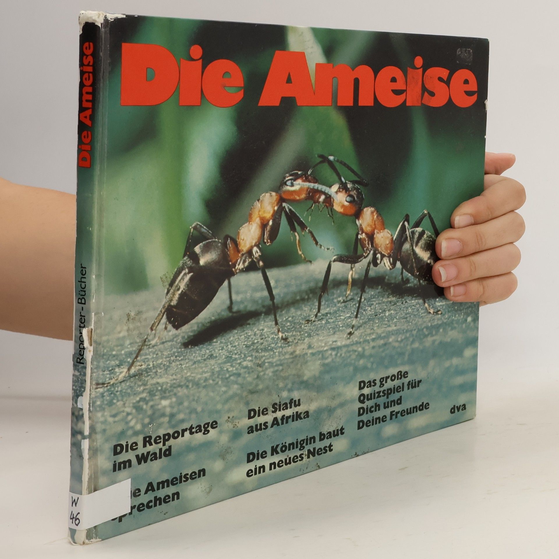 Die Ameise