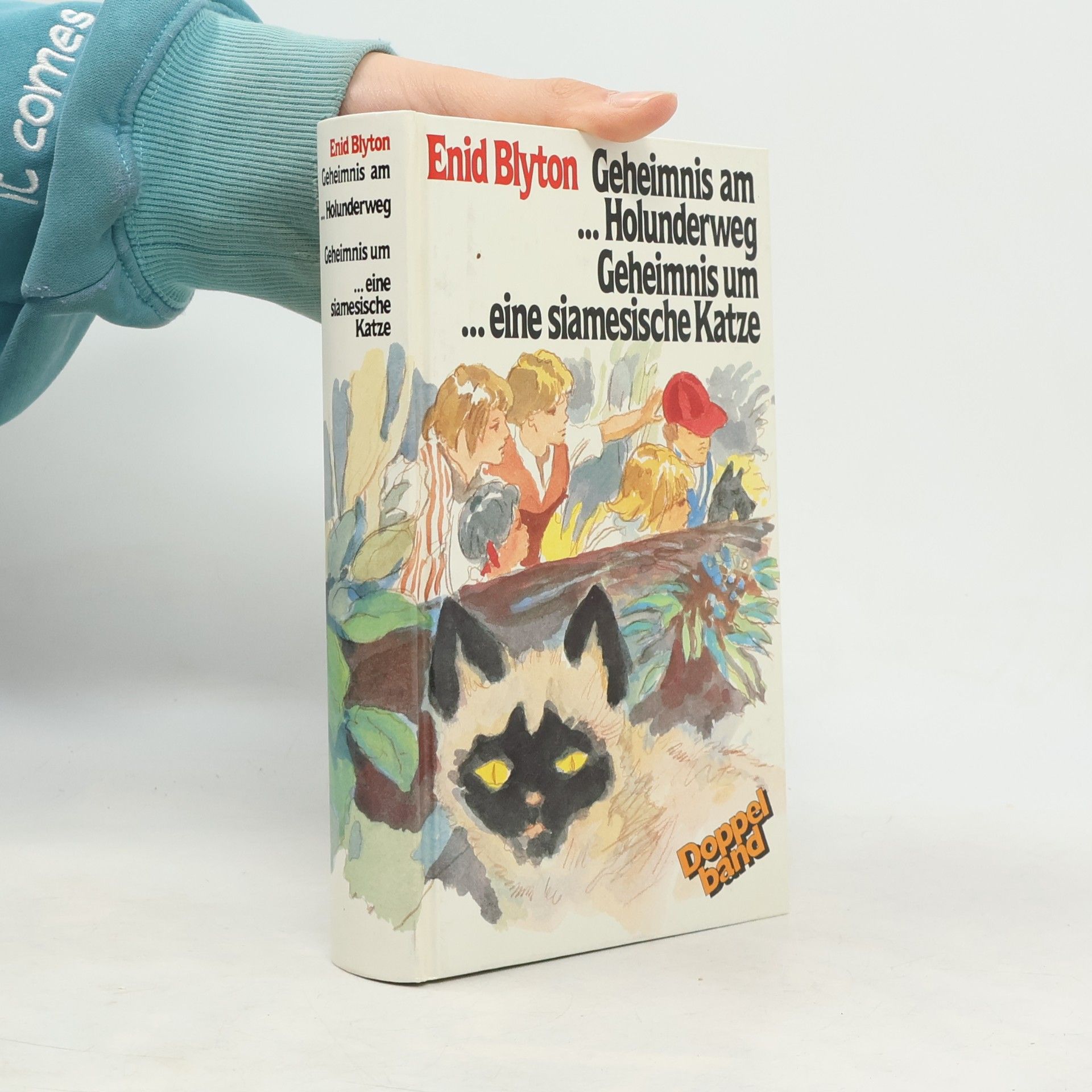 Enid Blyton Geheimnis am Holunderweg, Geheimnis um eine siamesische Katze