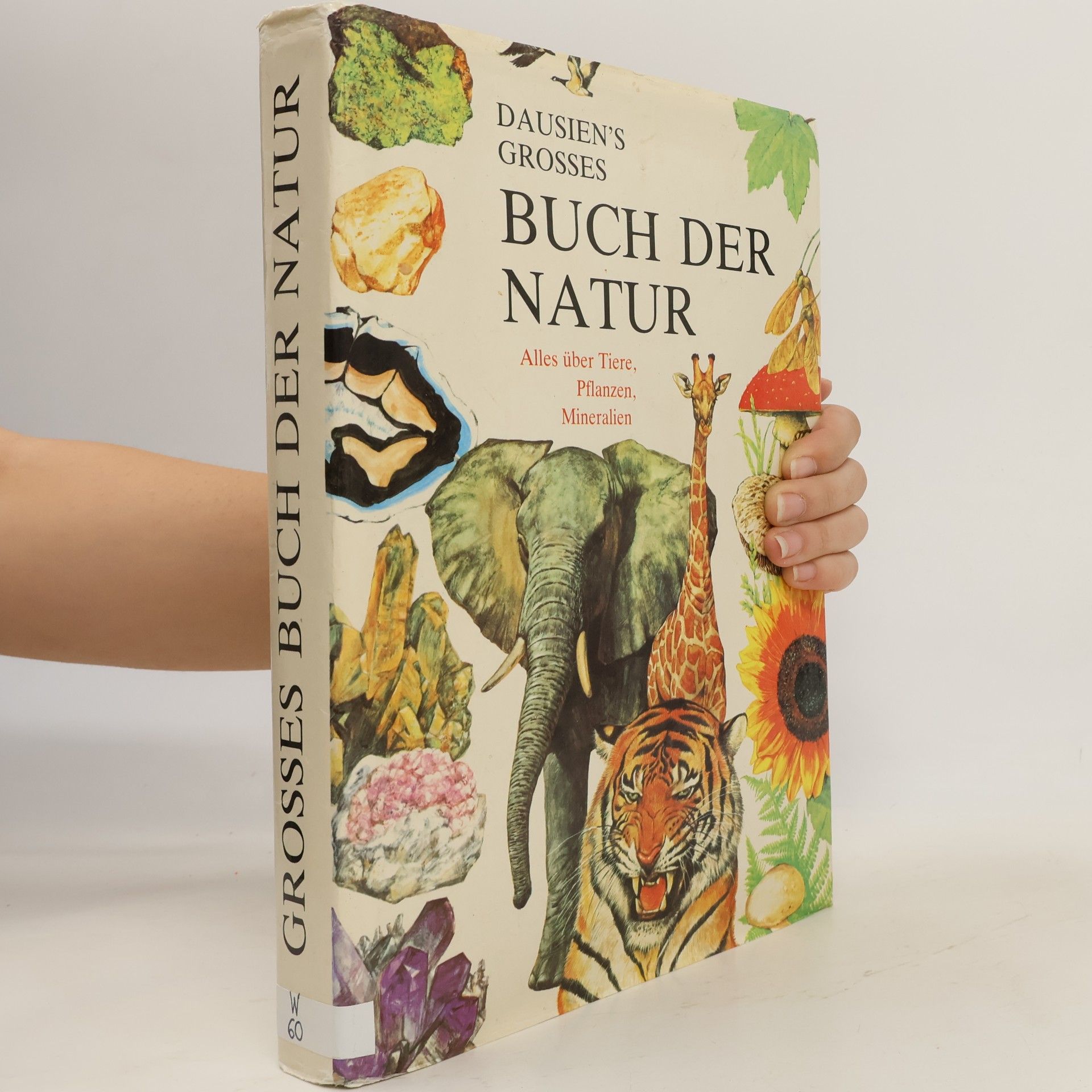 Dausien's grosses Buch der Natur