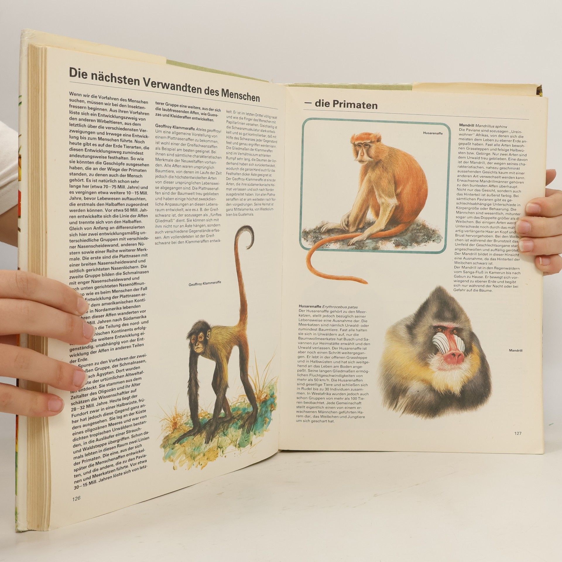 Jaromír Knotek Dausien's grosses Buch der Natur