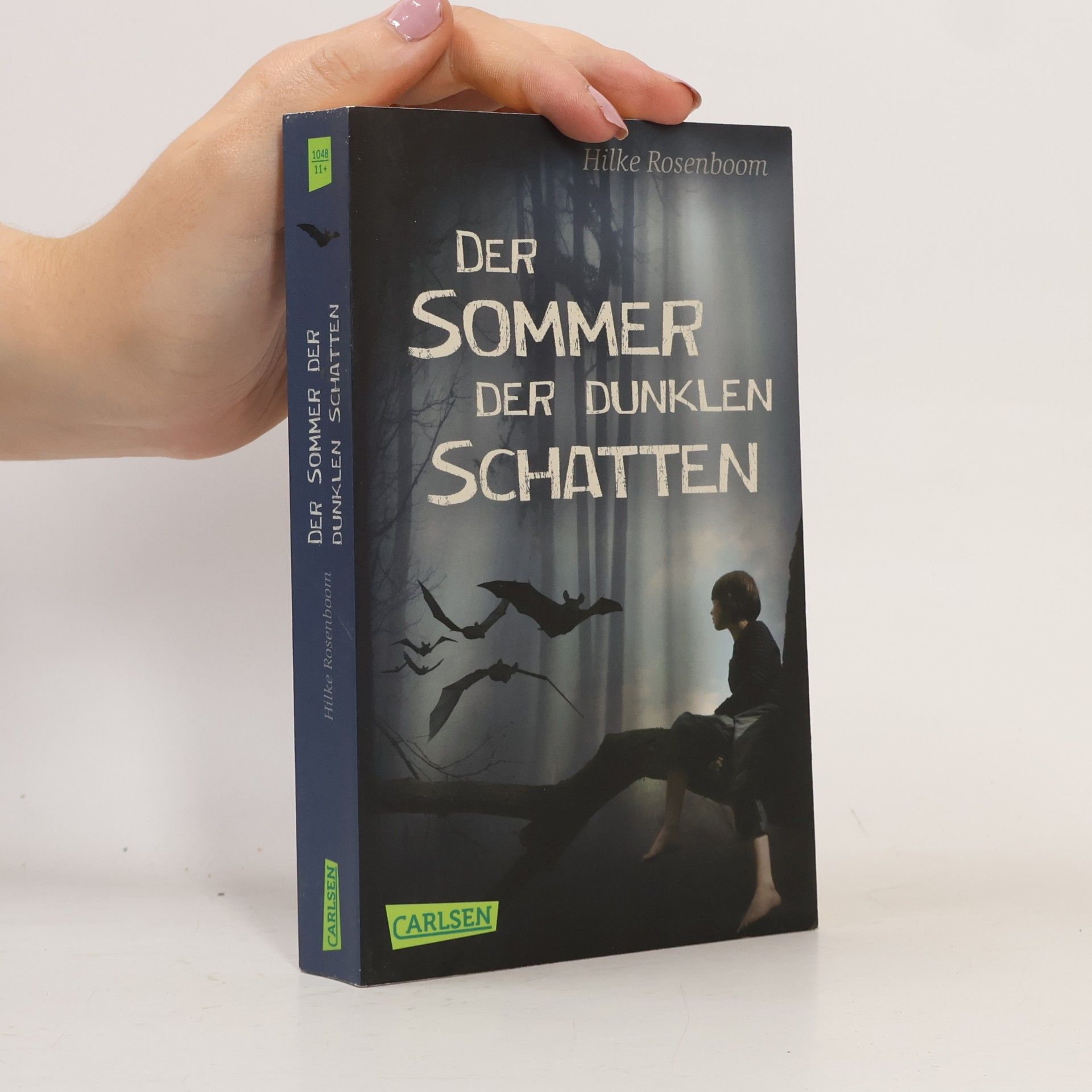 Hilke Rosenboom Der Sommer der dunklen Schatten
