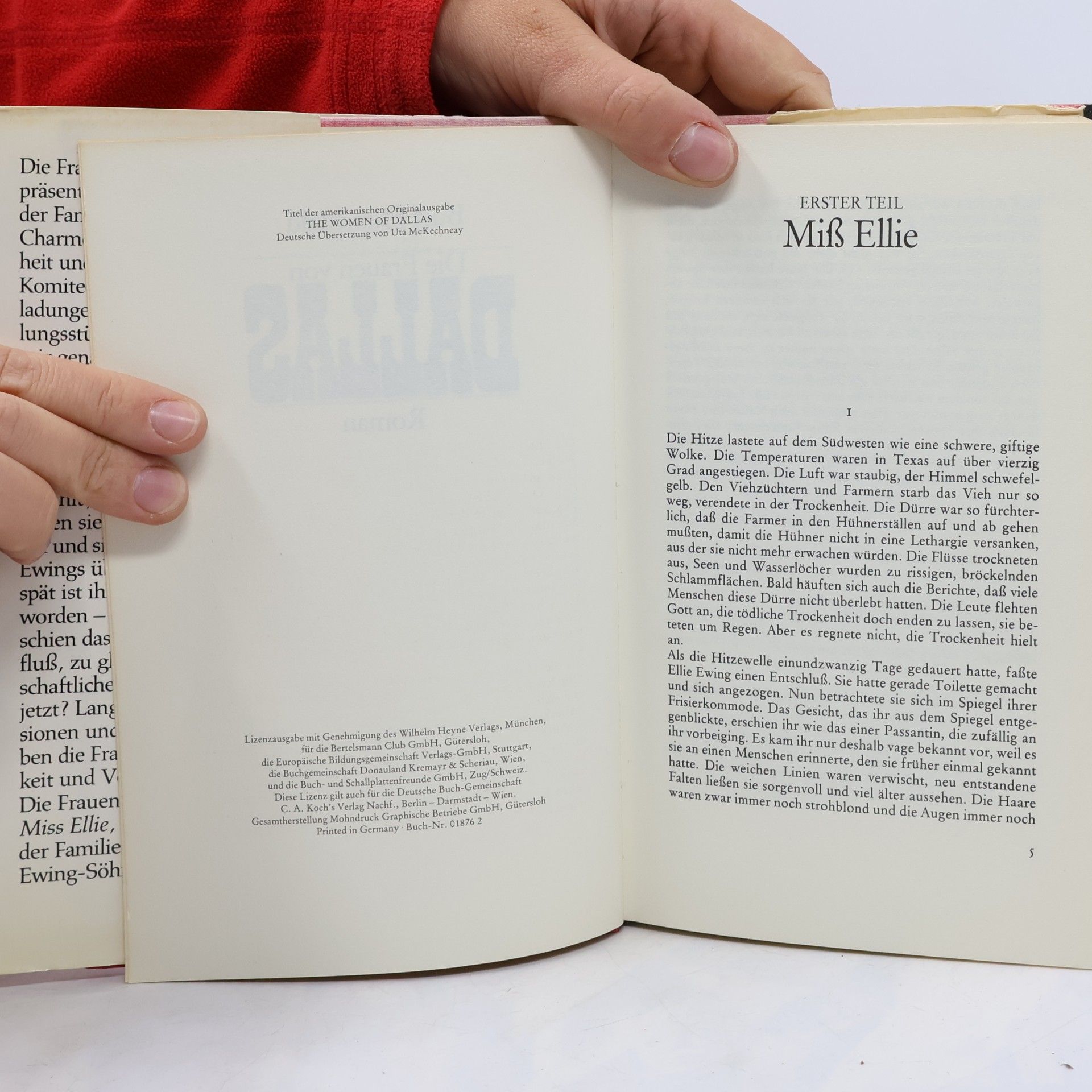 Burt Hirschfeld Die Frauen von Dallas